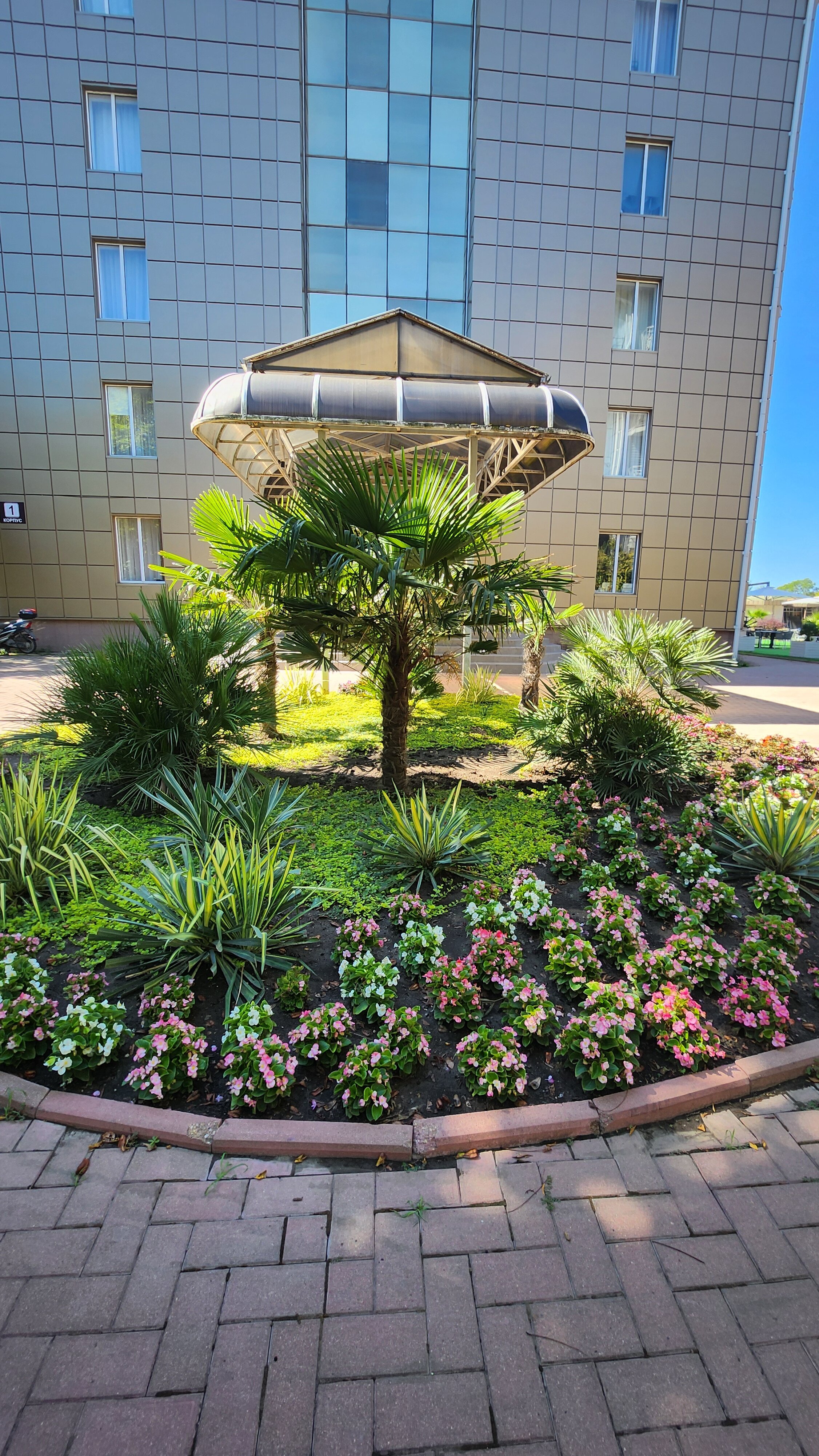 Фото Ола Резорт