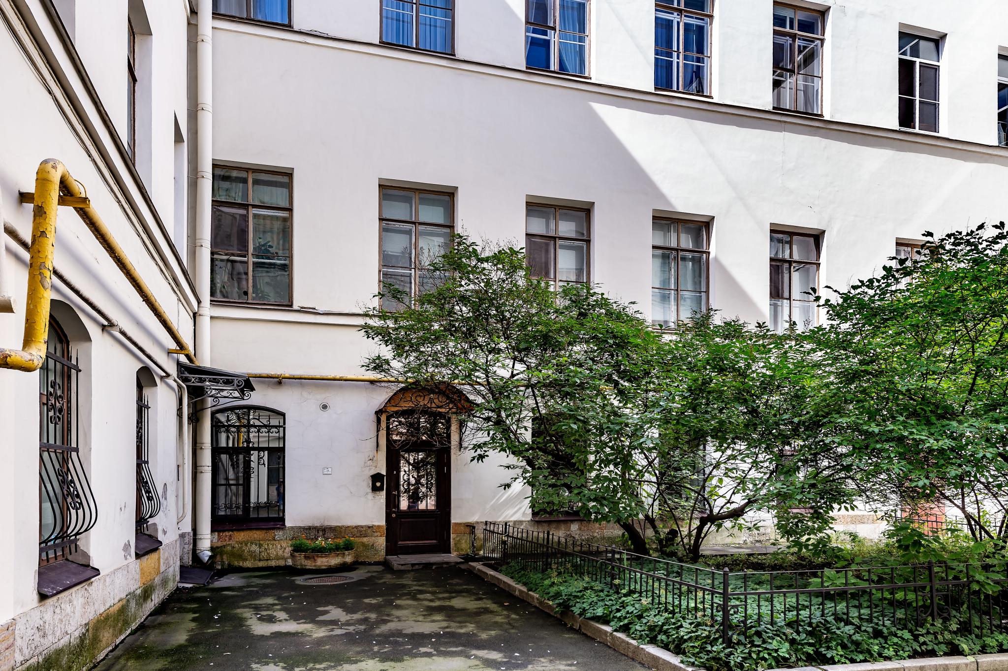 Фото Чайка на Фонтанке