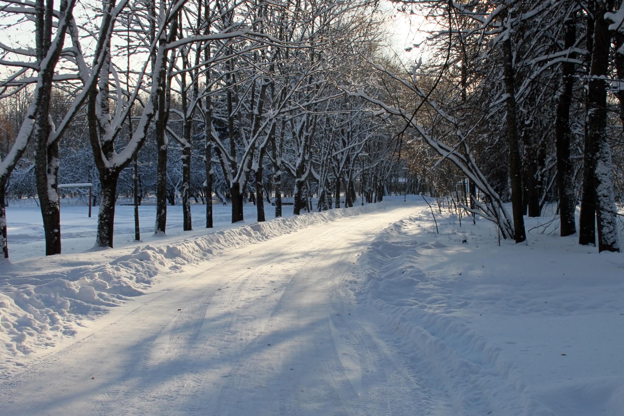 Фото Дачная Резиденция