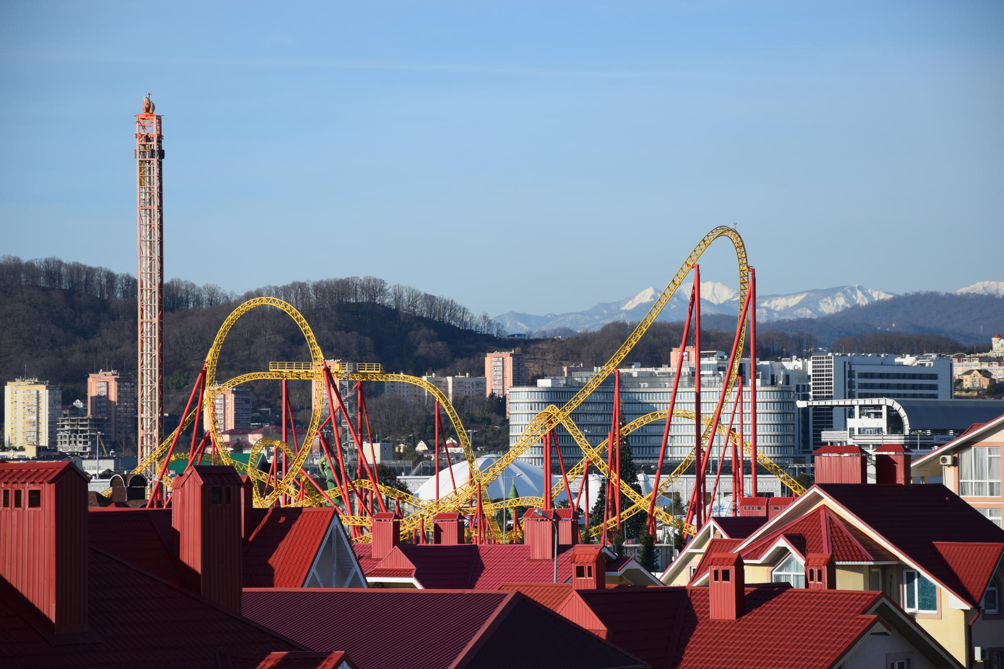 Фото Колибри