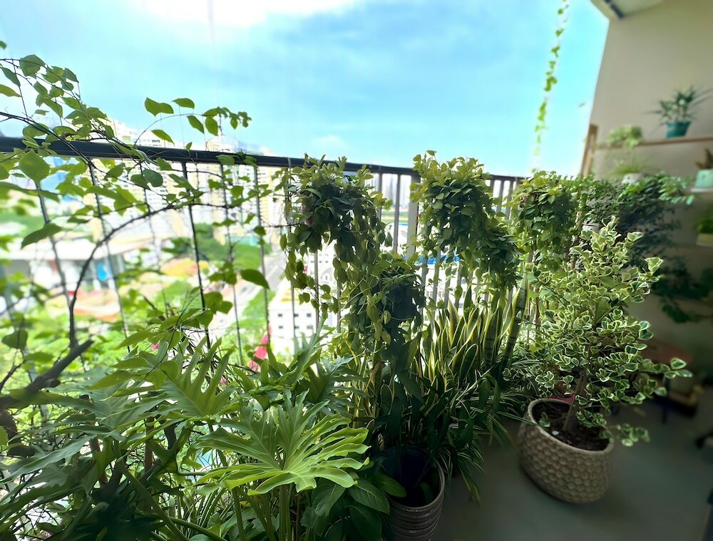 Фото Vinhomes D'Capitale - Quylodge