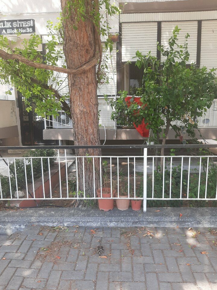 Insurance company Net Sigorta Eksperligi, Izmir, photo