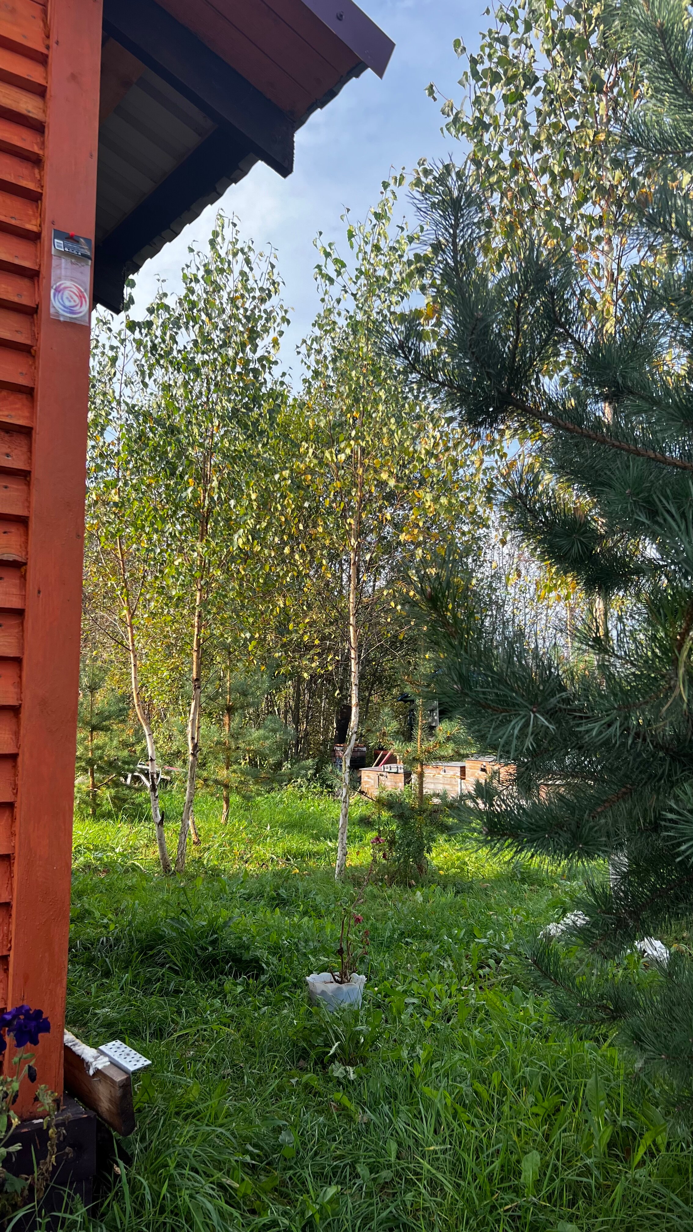 Фото Дом отдыха у реки Великой