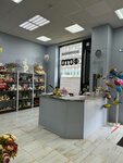 Oasis (Yubileynaya Street, 4) ، التصوير الفوتوغرافي