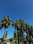 Fun&Sun (Lermontovsky Avenue, 2к1) ، وكالة أسفار
