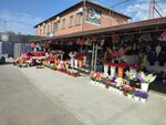 Вечный цветок (Prikubanskiy City administrative district, mikrorayon Slavyanskiy, ulitsa 4-ya Liniya, 104), plantas y flores artificiales