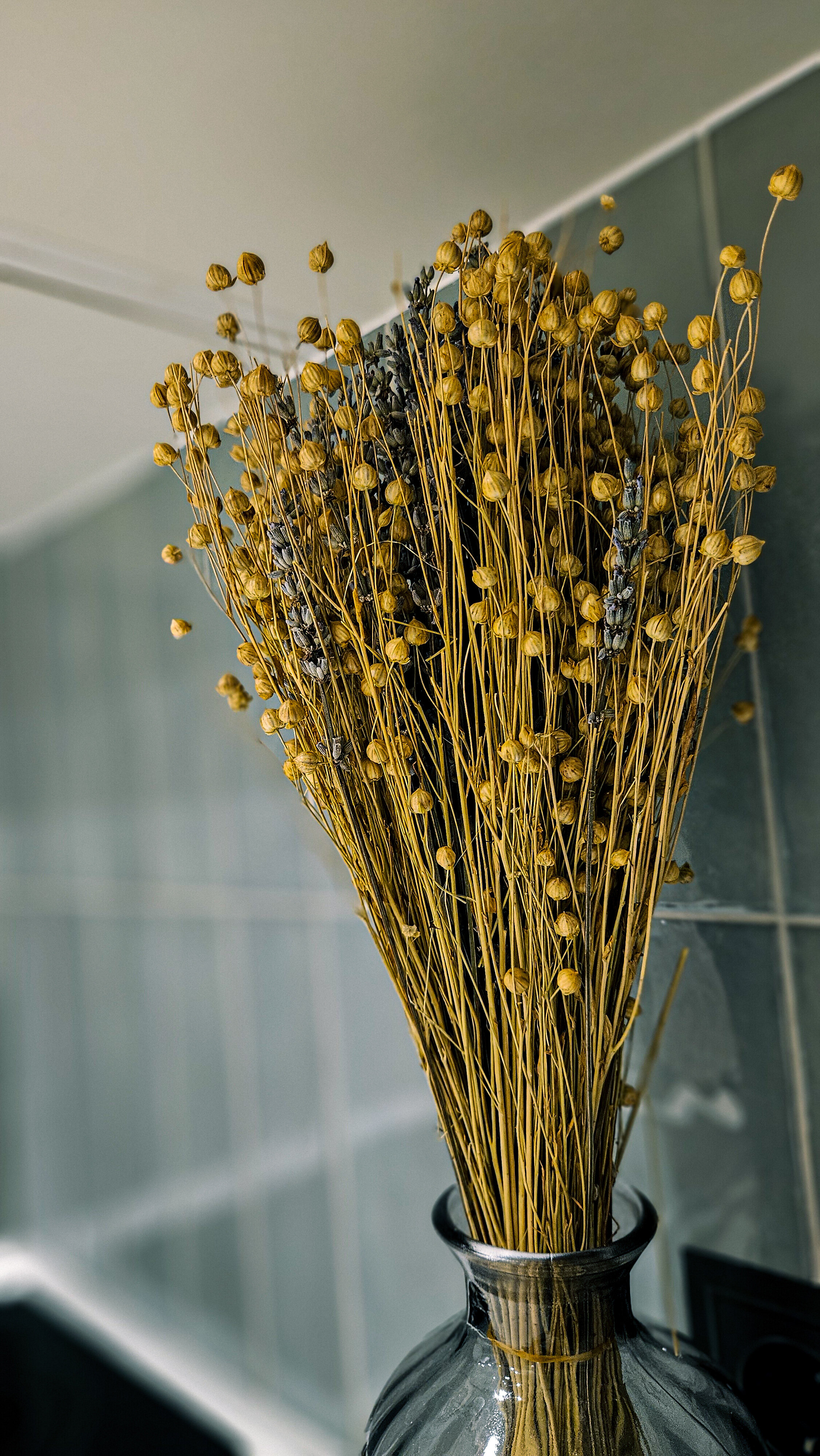 Фото Amyrissalut