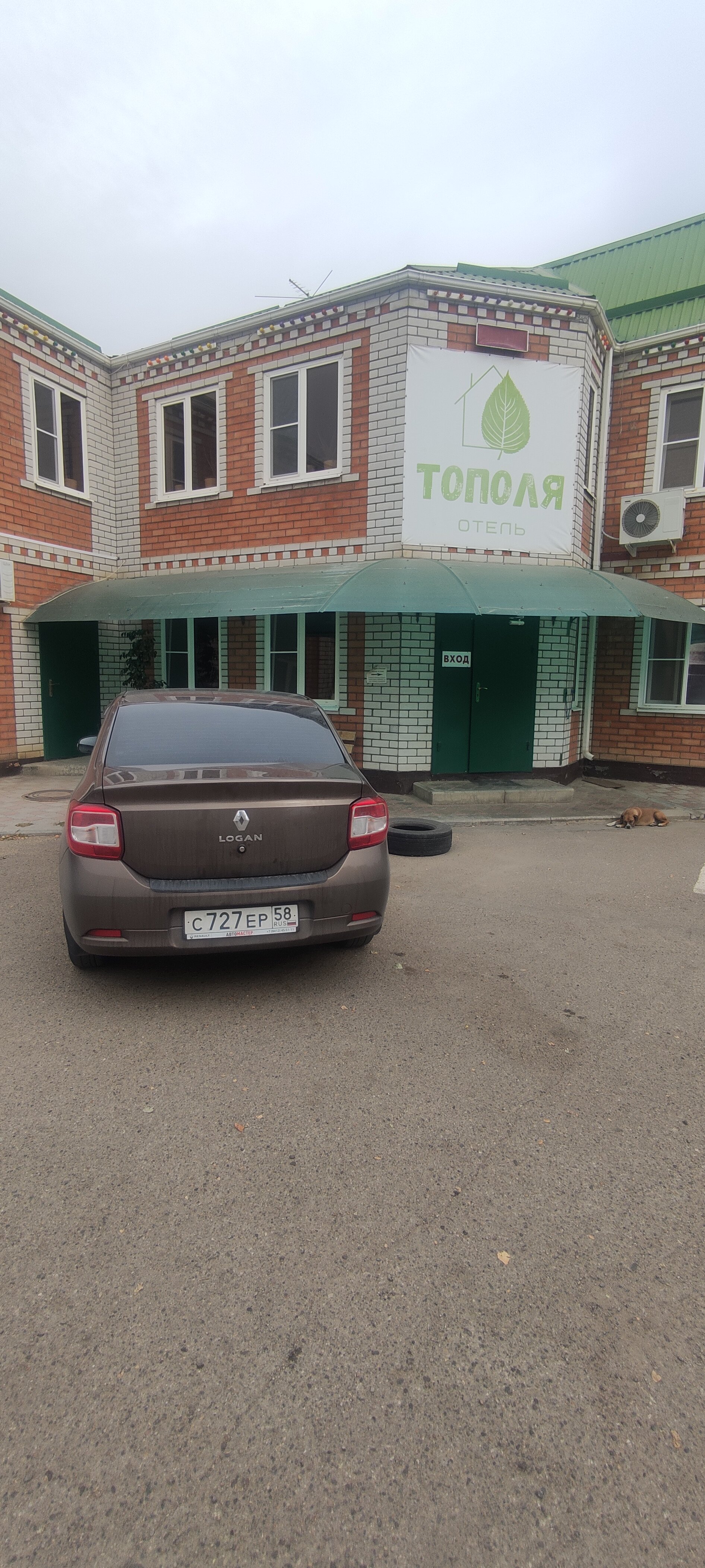 Фото Тополя