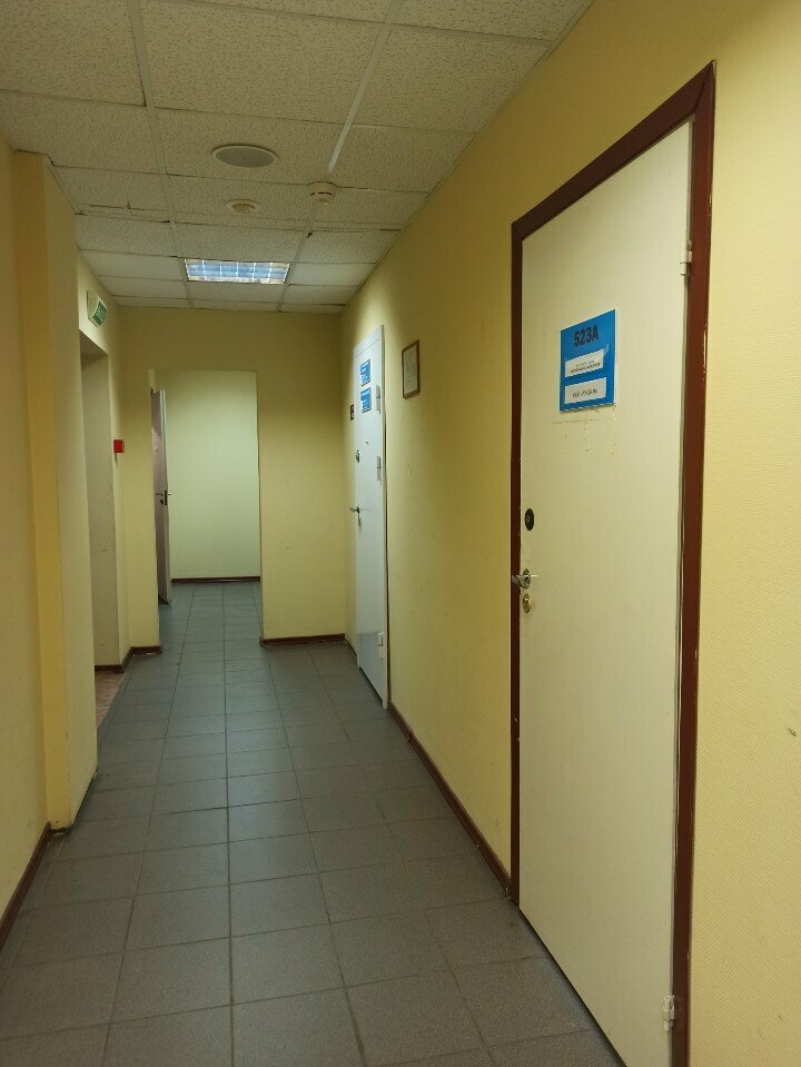 معهد التصميم Tsentralnaya Izmeritelnaya Laboratoriya ، سان بطرسبرغ، صورة