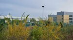 Stadium (Kanysh Satpaev Avenue, 53) ، ملعب