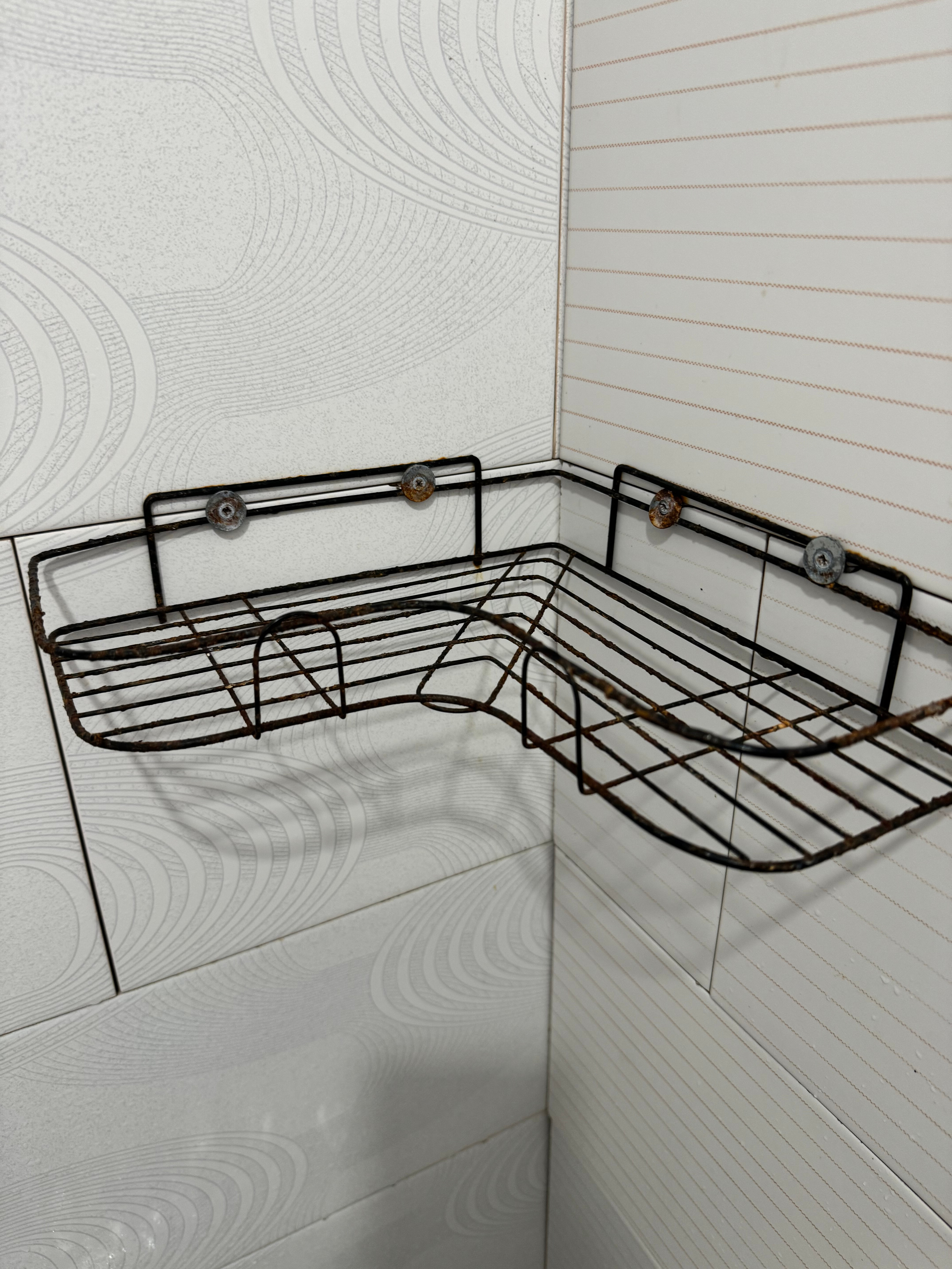 Фото Встреча