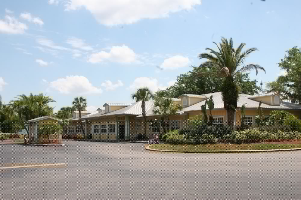 Фото Tropical Palms