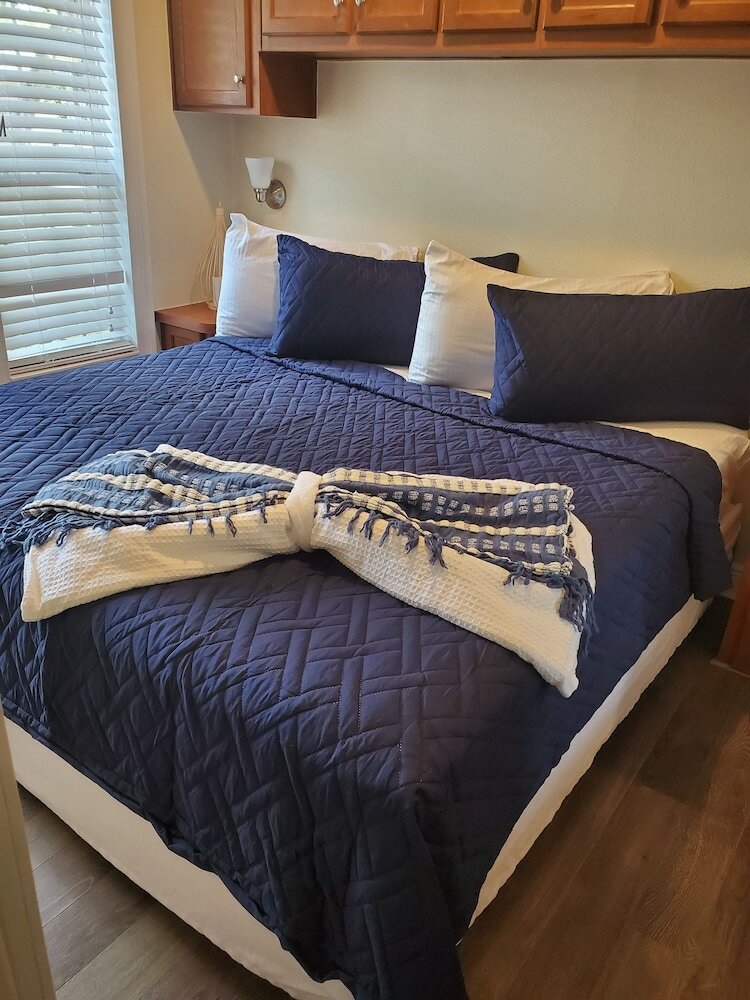 Фото Tropical Palms