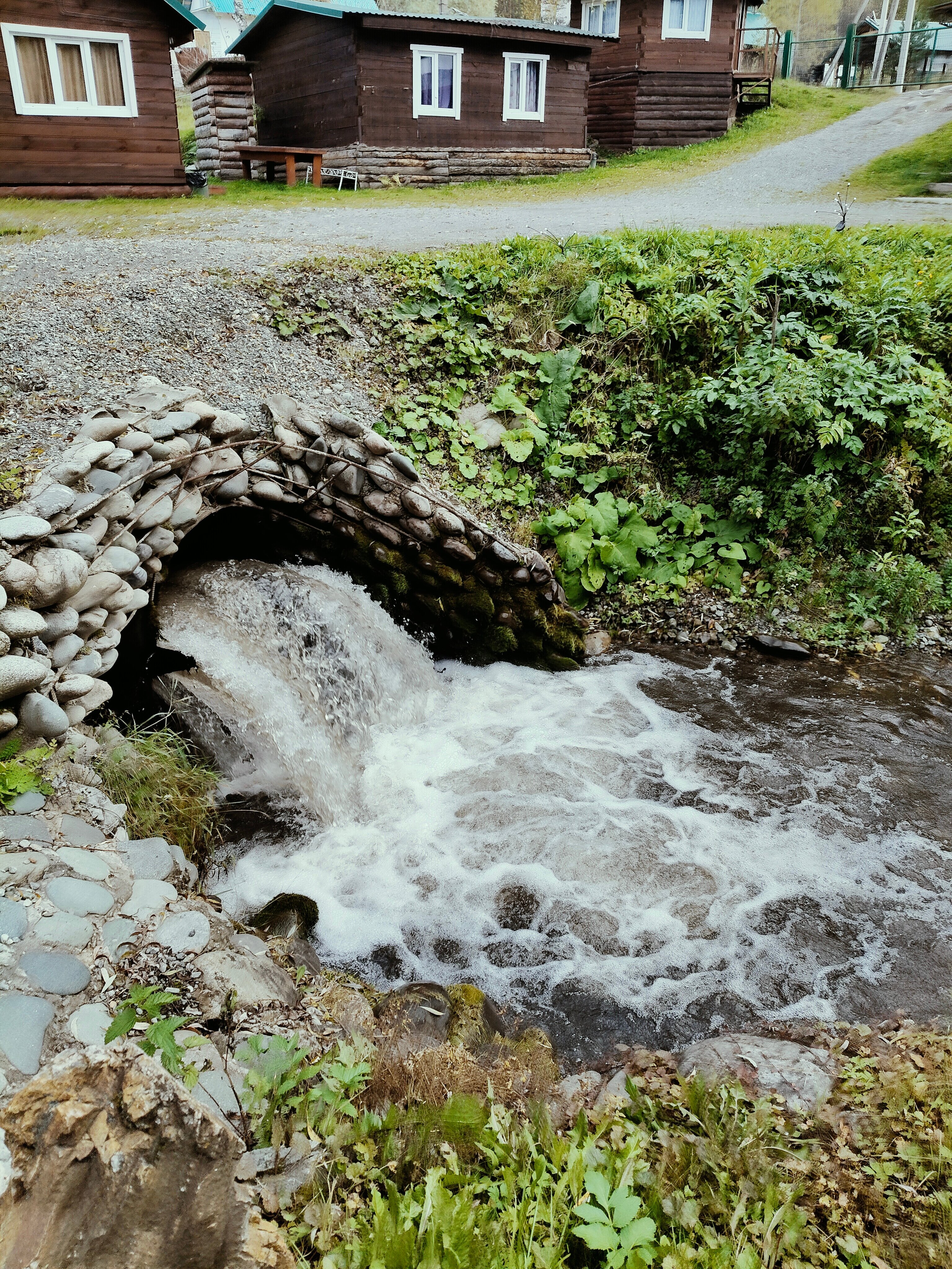 Фото Тихий берег