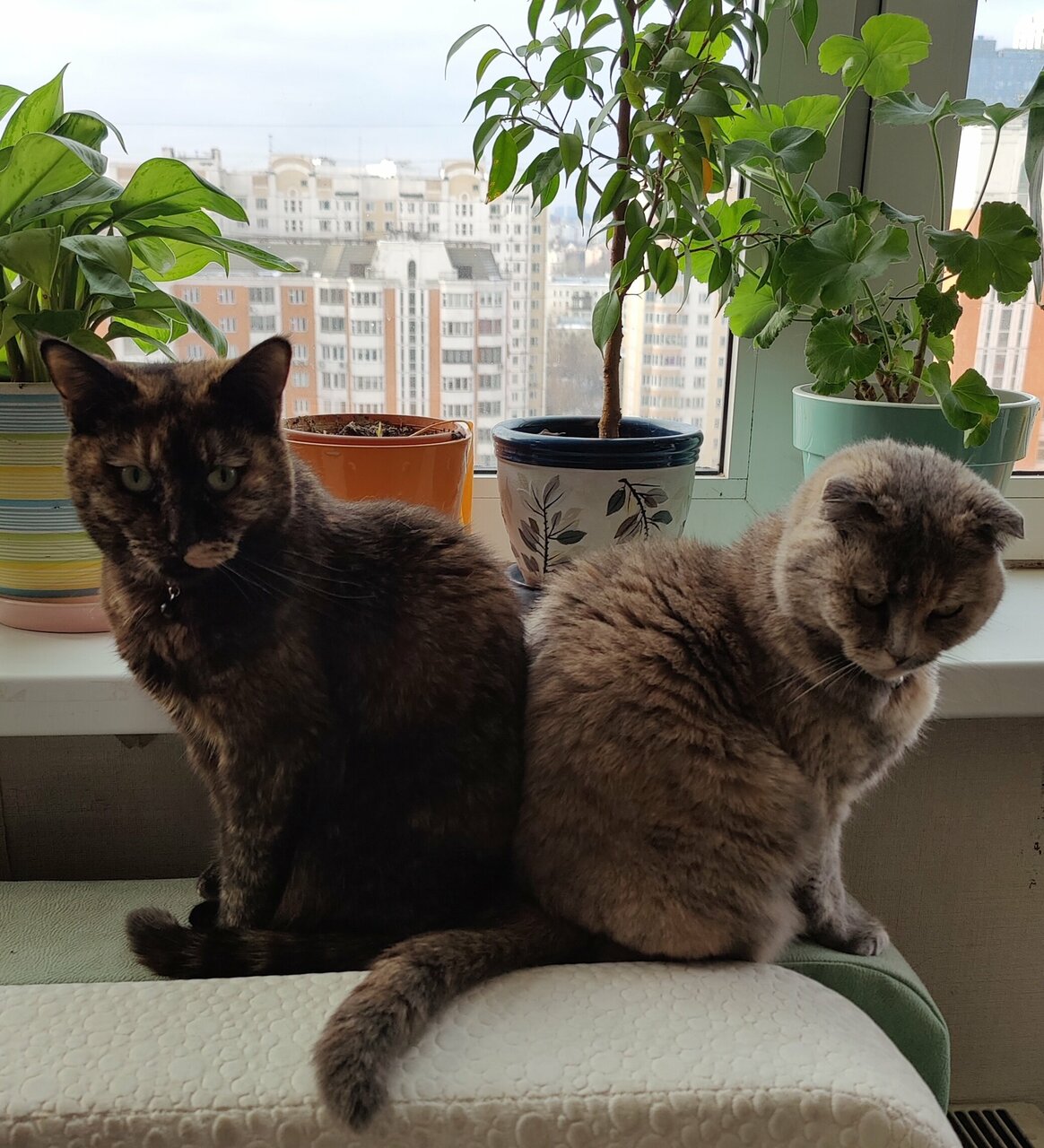 Галвет нижегородская ул 3 москва фото