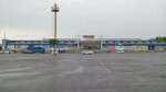 077 (Tamerlan tas joly, 22/19), auto parts and auto goods store