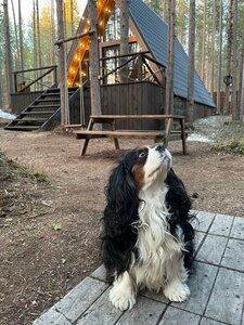Loft Home Карелия