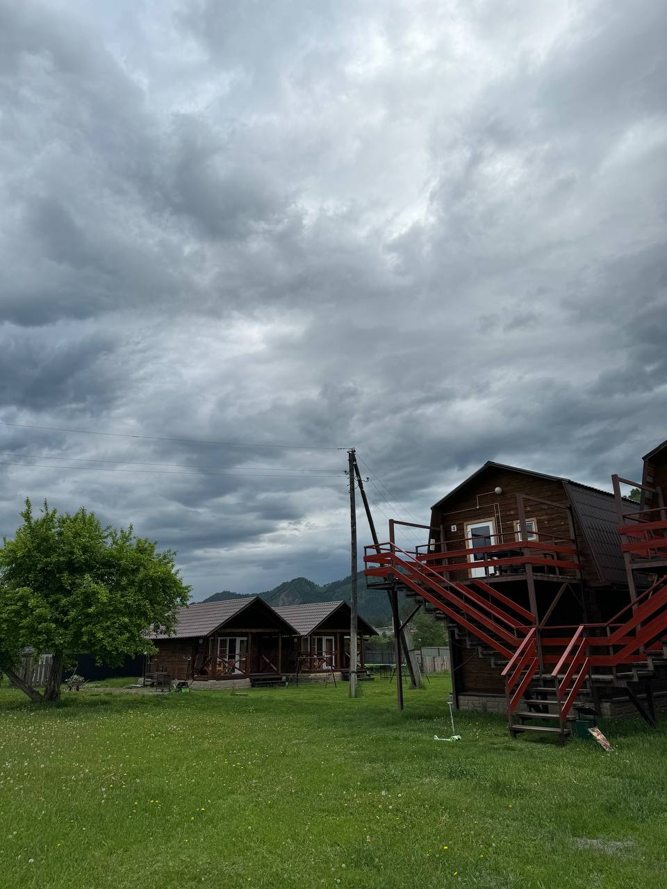 Фото Золотой медведь