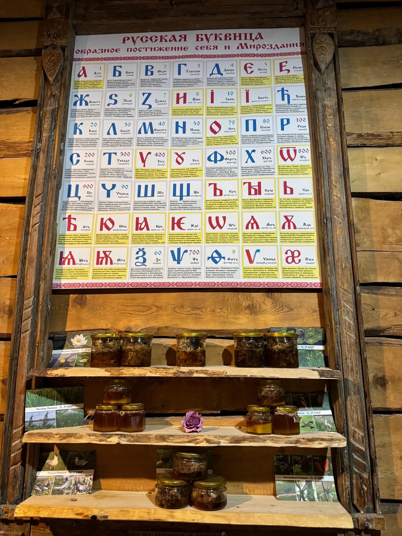 Фото ЭтноуСАДьба ЗдРАвоМыслящих