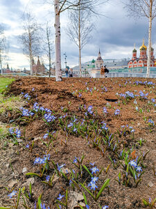 Большой луг (Москва, парк Зарядье), достопримечательность в Москве