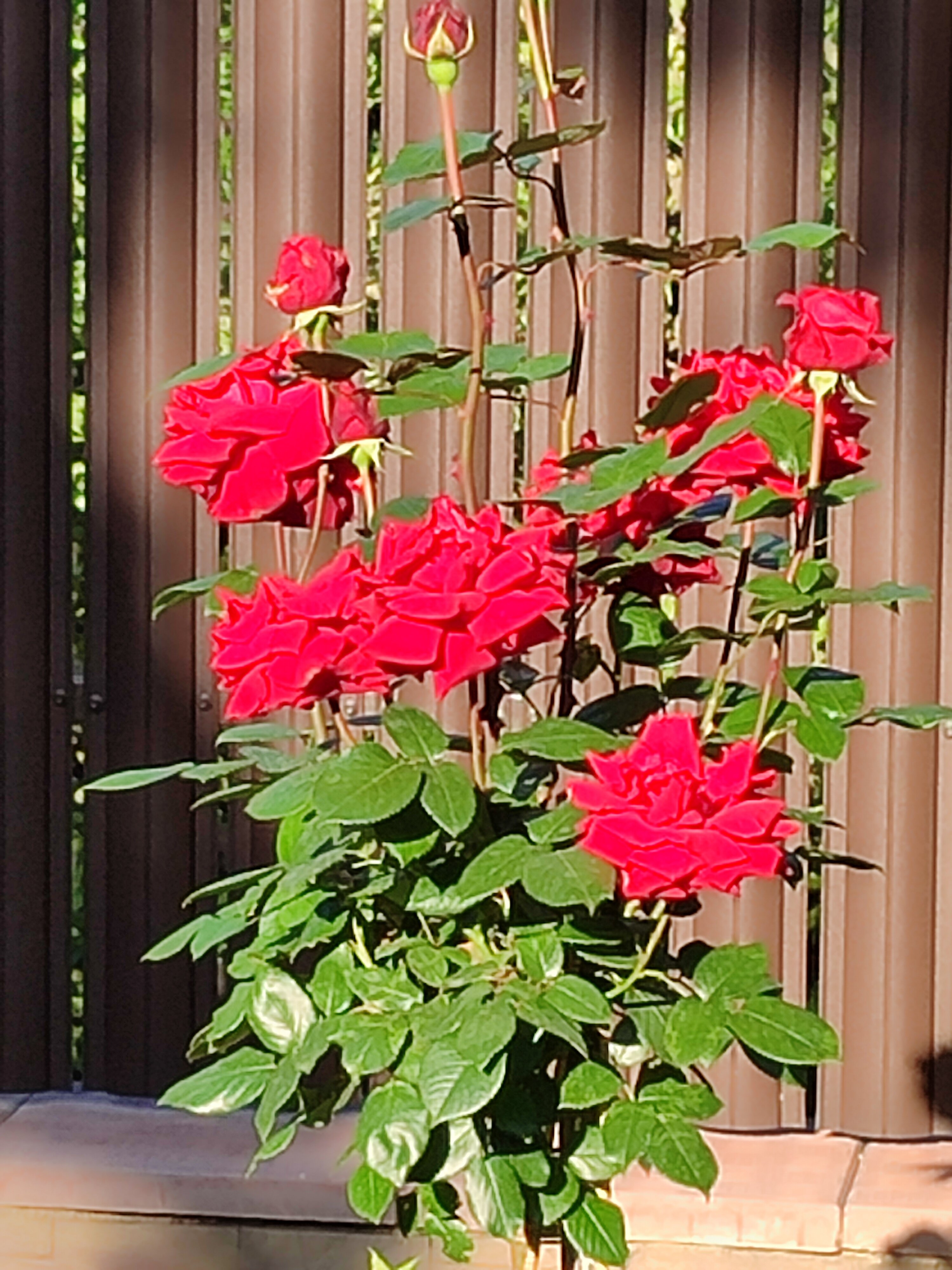 Фото Гостевой дом Крупской 1