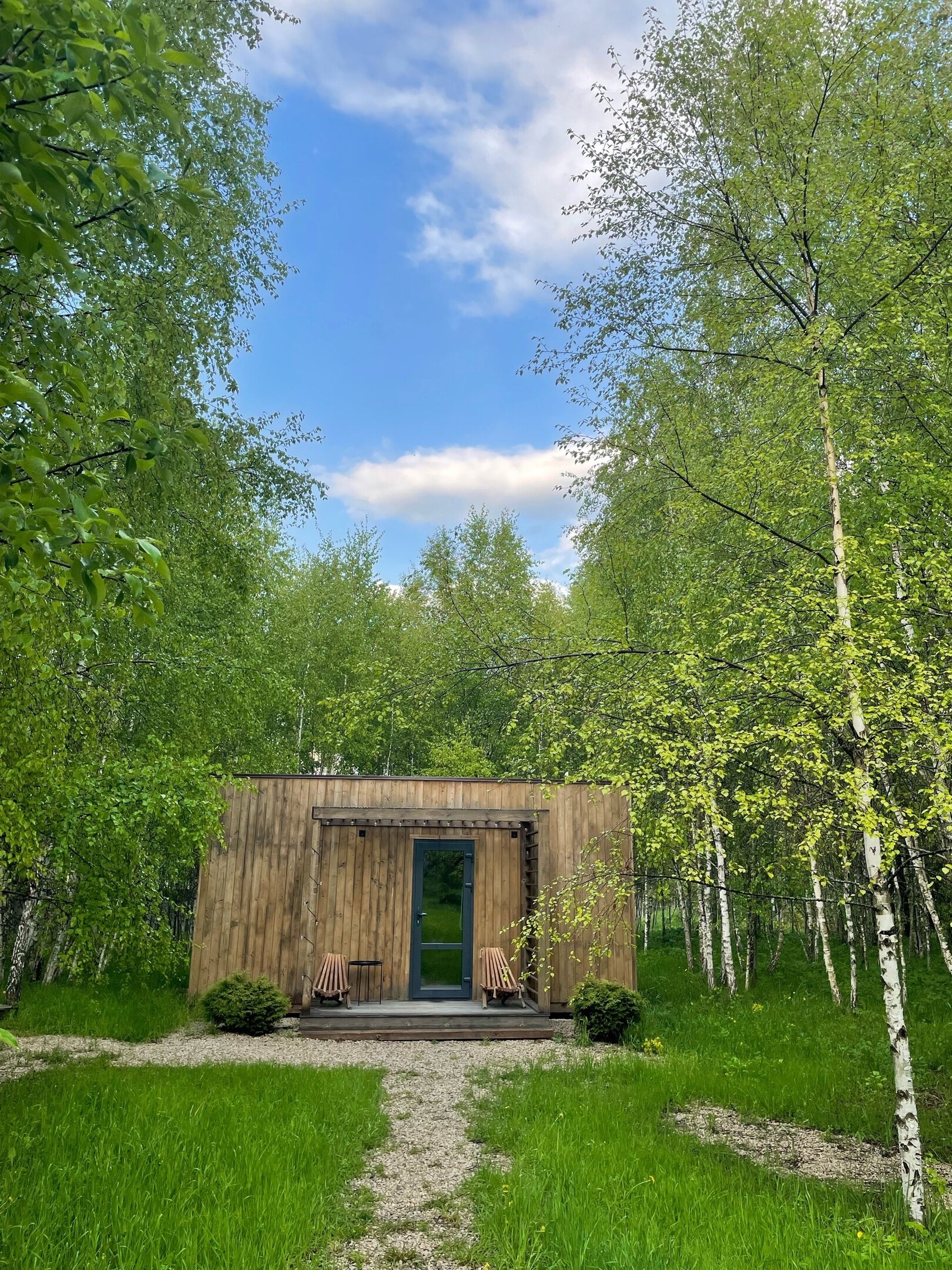 Фото Два зайца