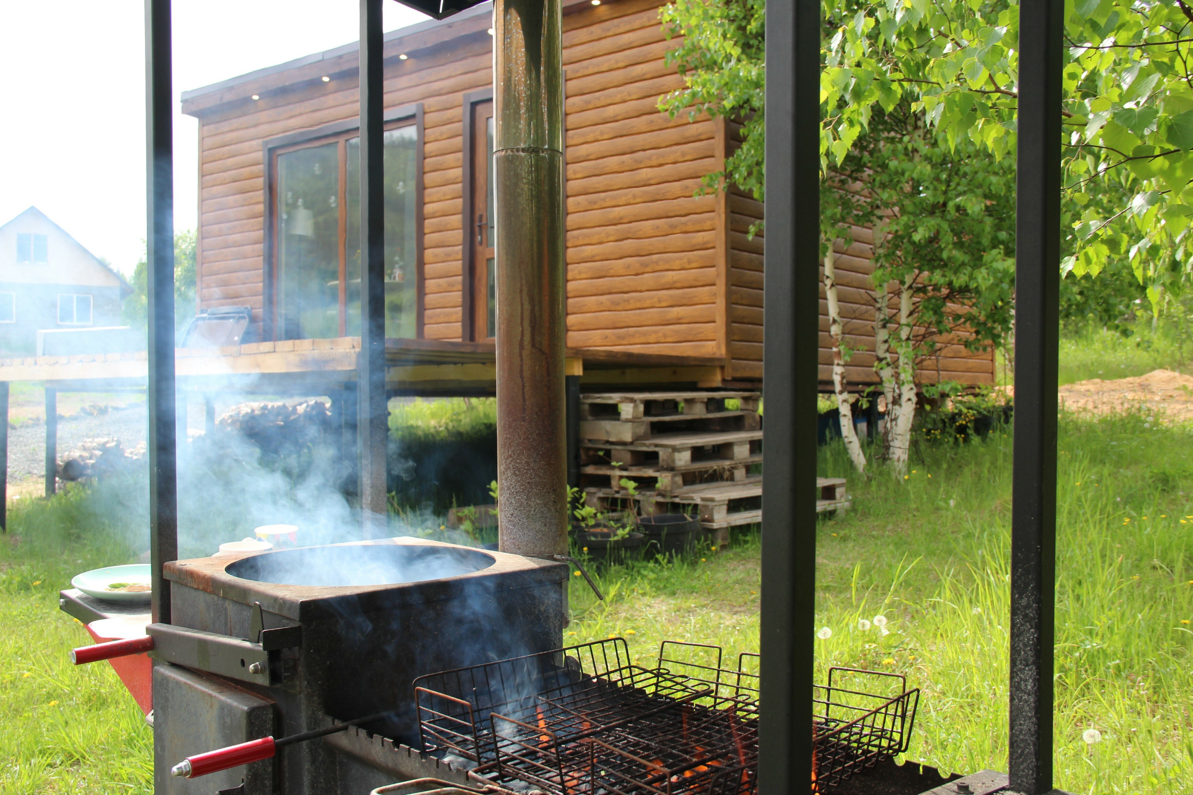 Фото Чайное гнёздышко