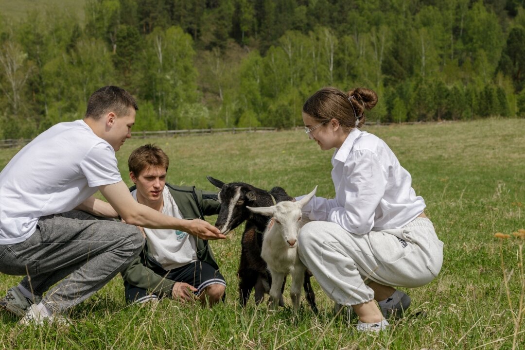 Фото Чайное гнёздышко