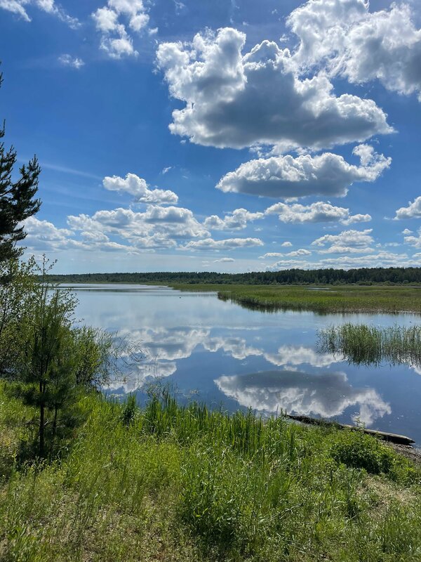 Хутор Барышево — фото 29