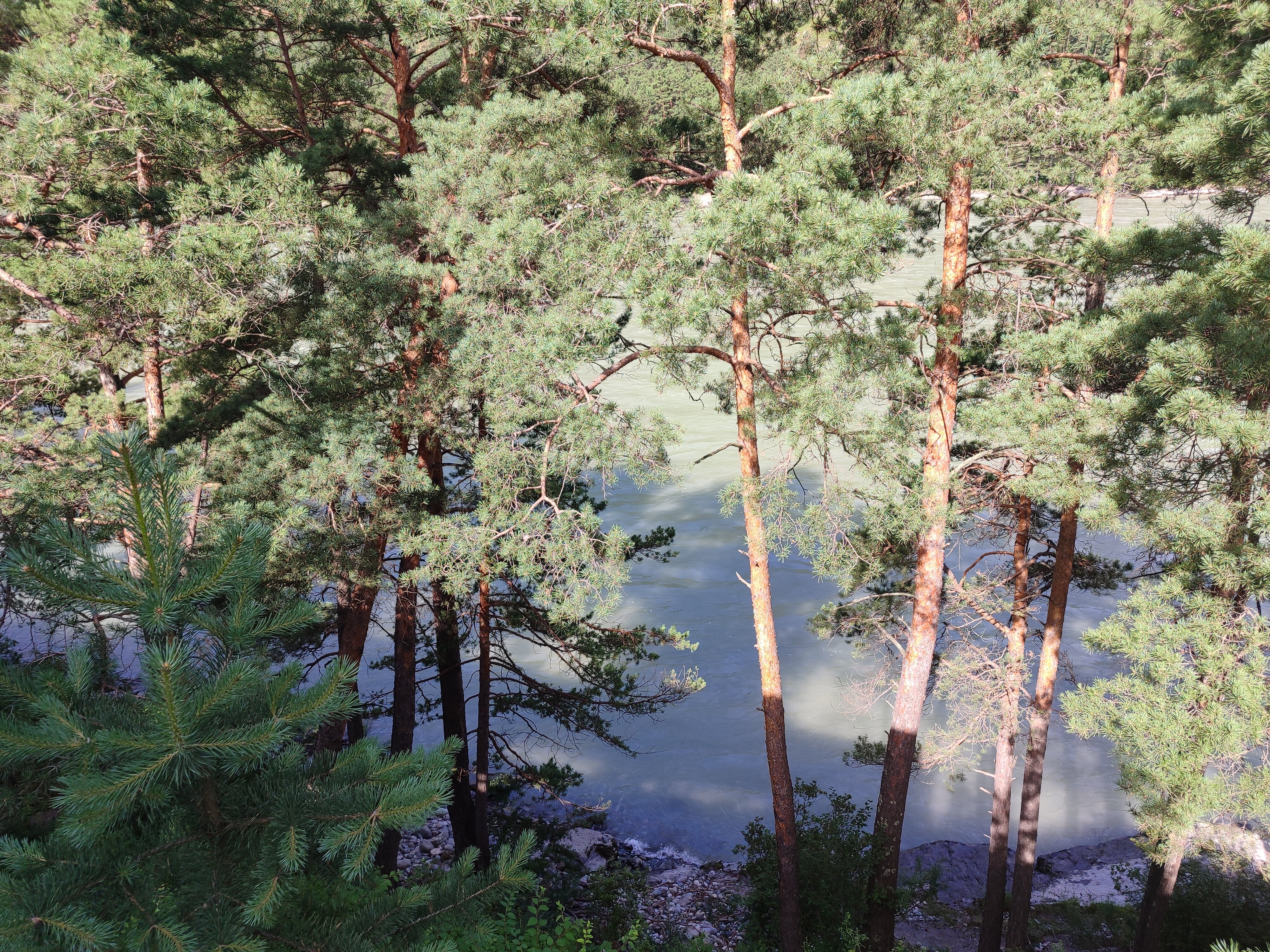 Фото ЧеКаГо