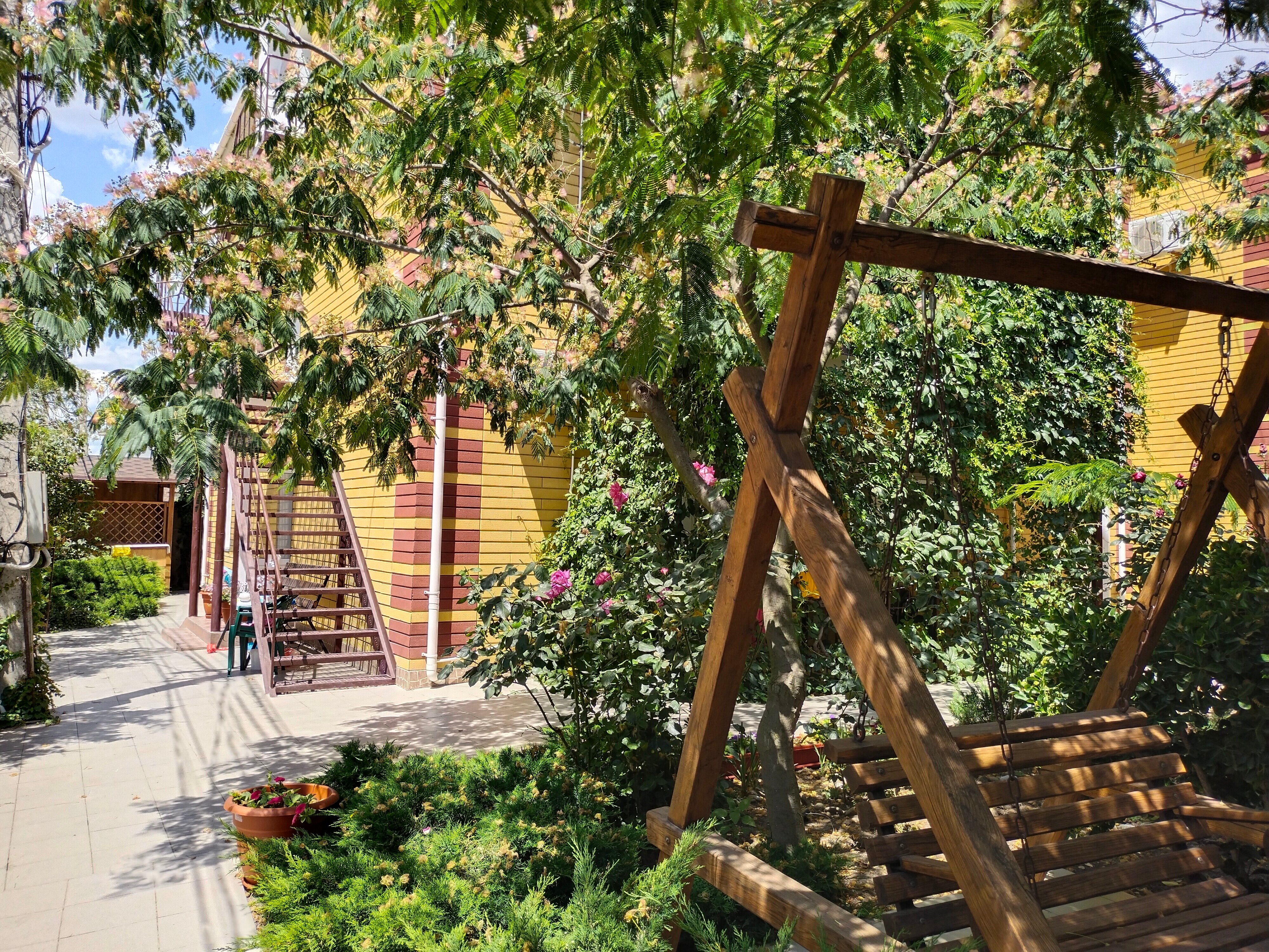 Фото Магнолия