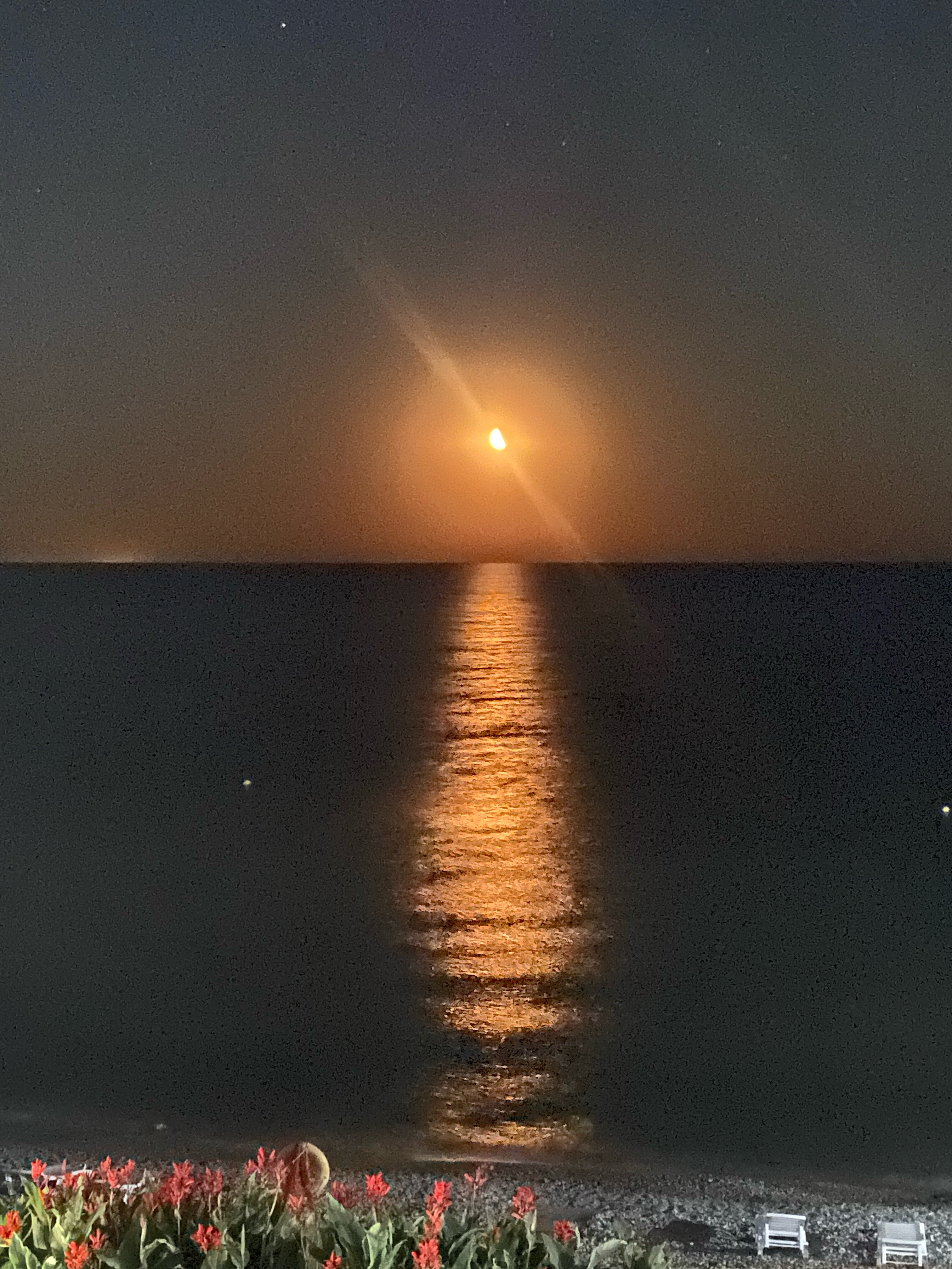 Фото Эллинг у Зои