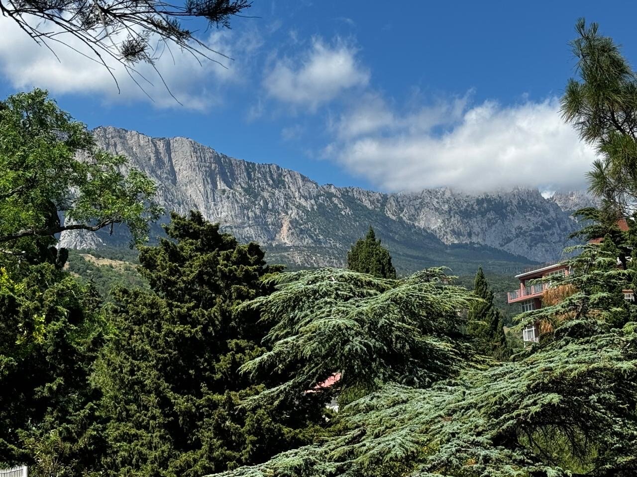 Фото Бархатный сад