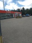 Село Ленинское (Novosibirsk Region, 50N-2116P1), public transport stop