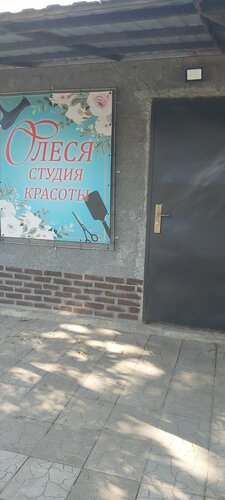 Hairdresser Олеся, Kursk Oblast, photo
