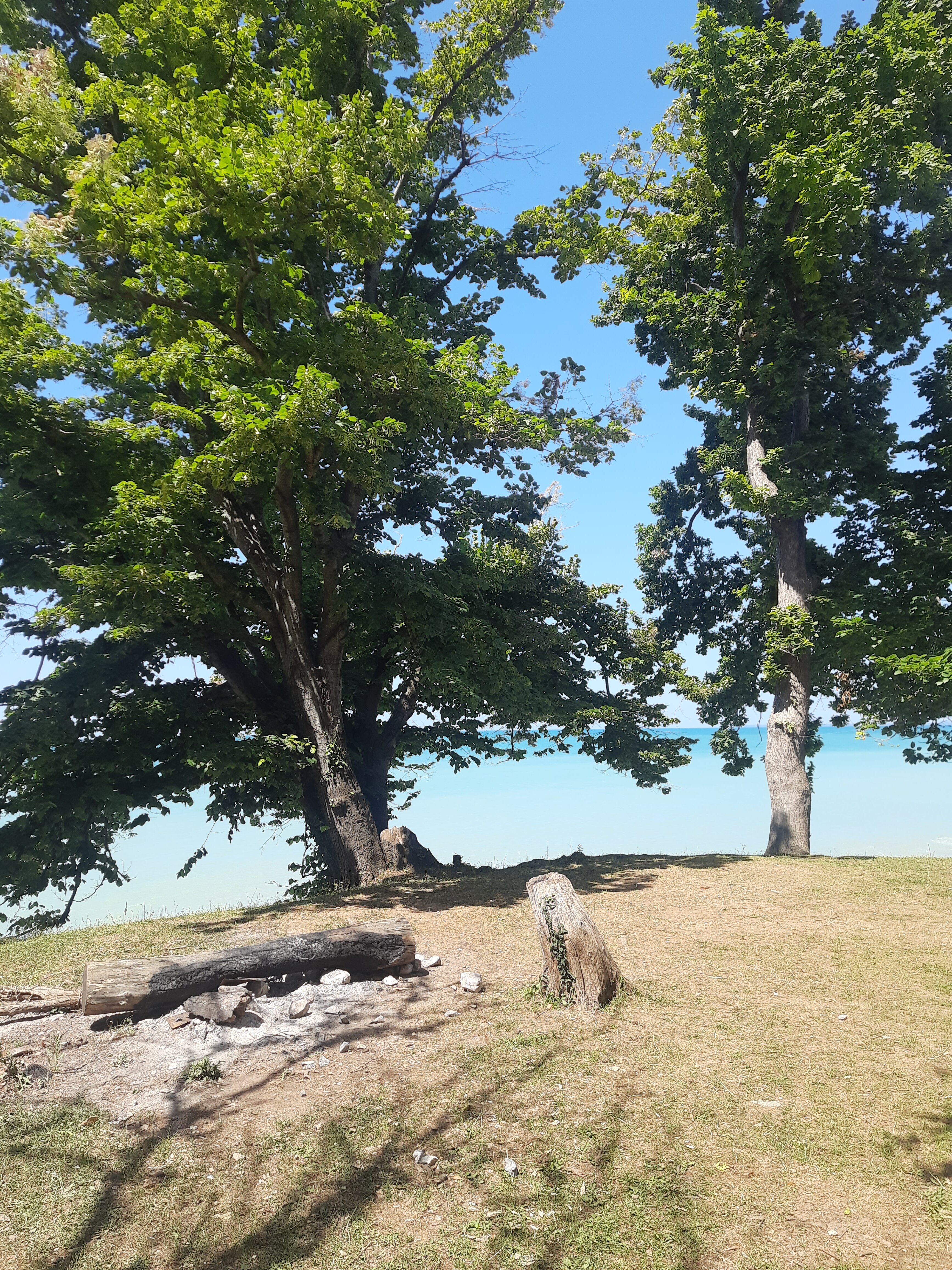 Фото Bambora glamping