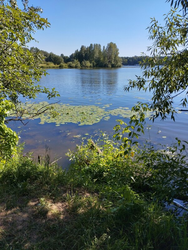 purenudism.com девочки в трусиках( 