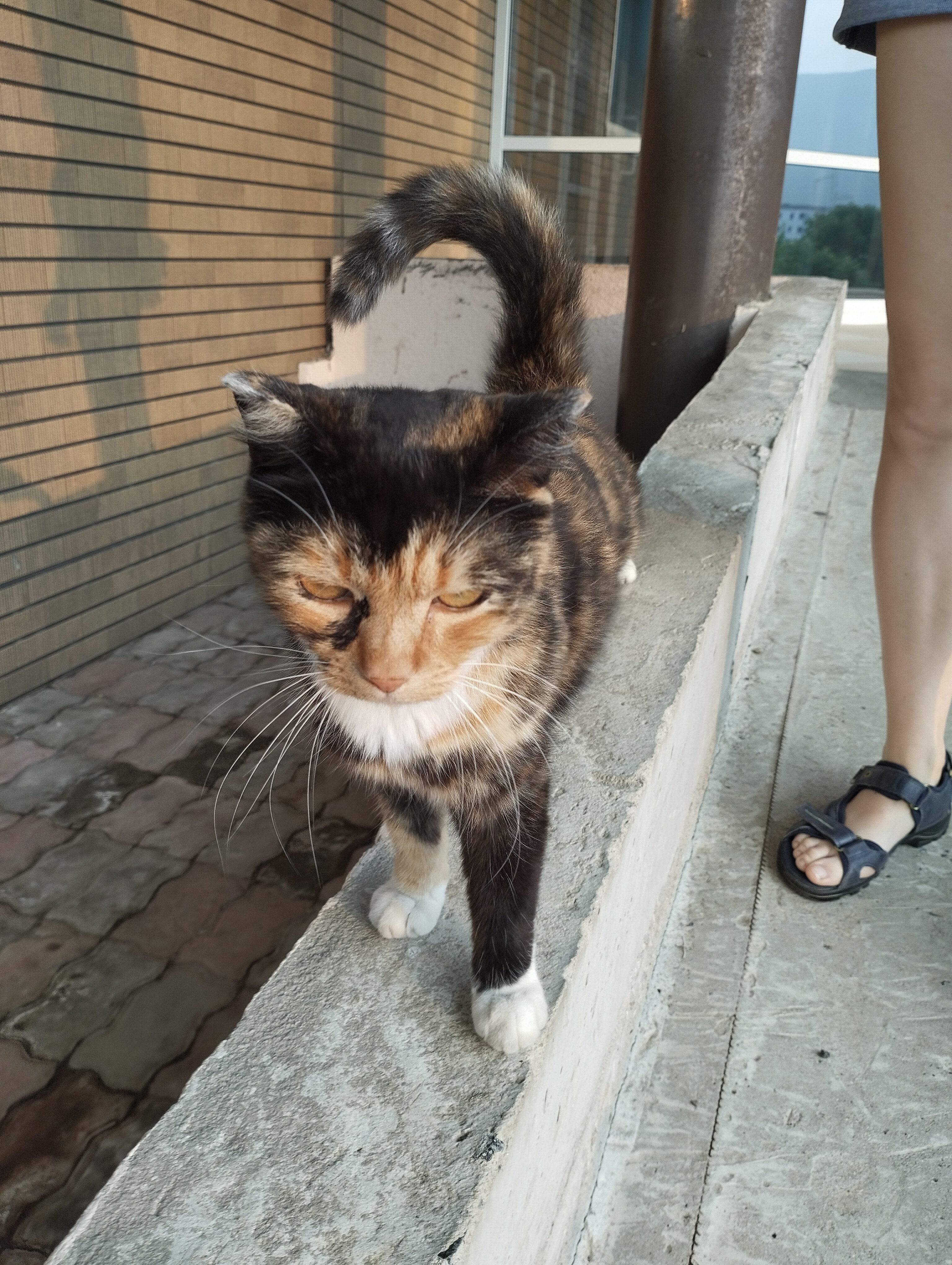 Фото Тихоокеанск