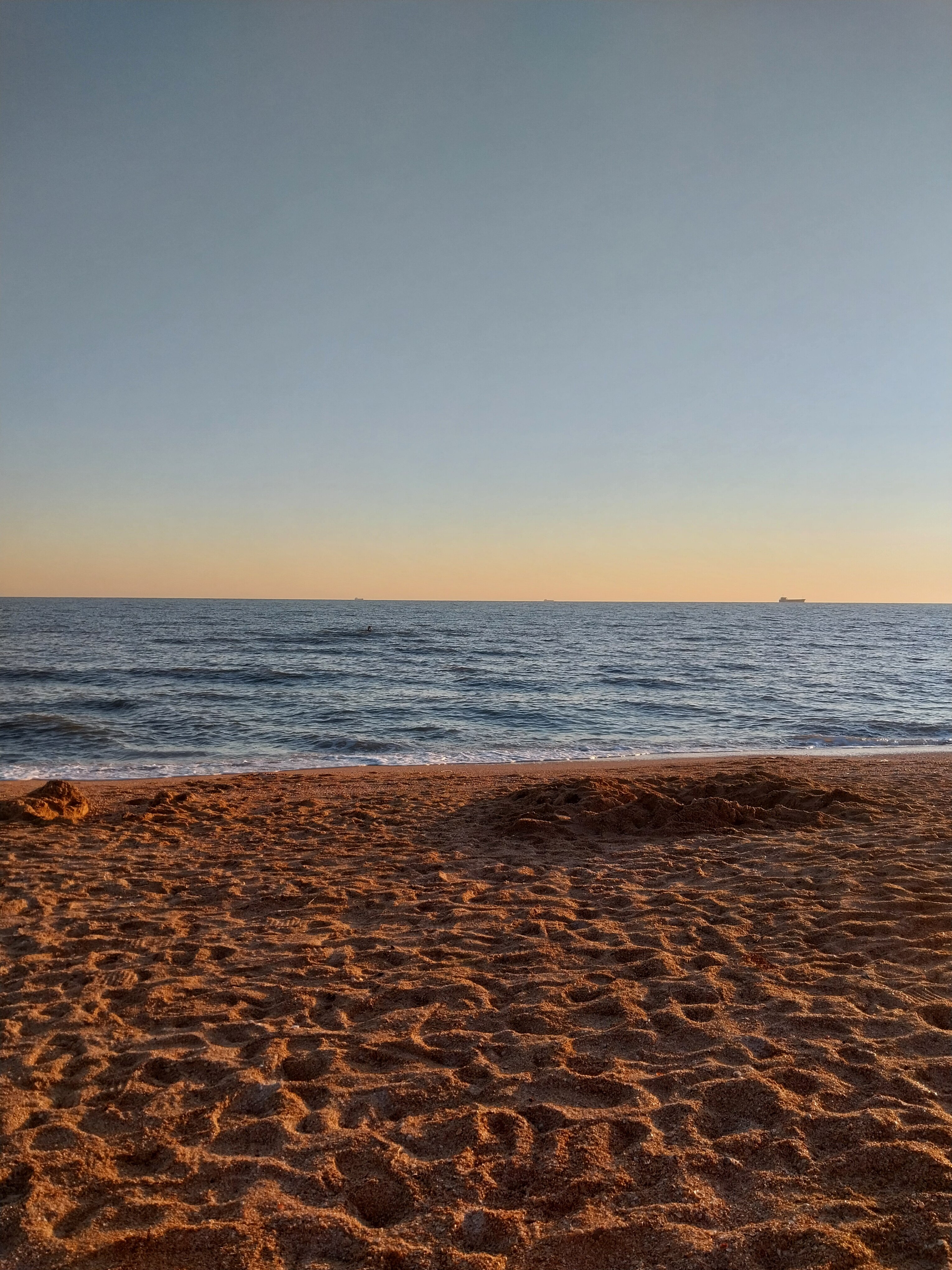 Фото Магнолия