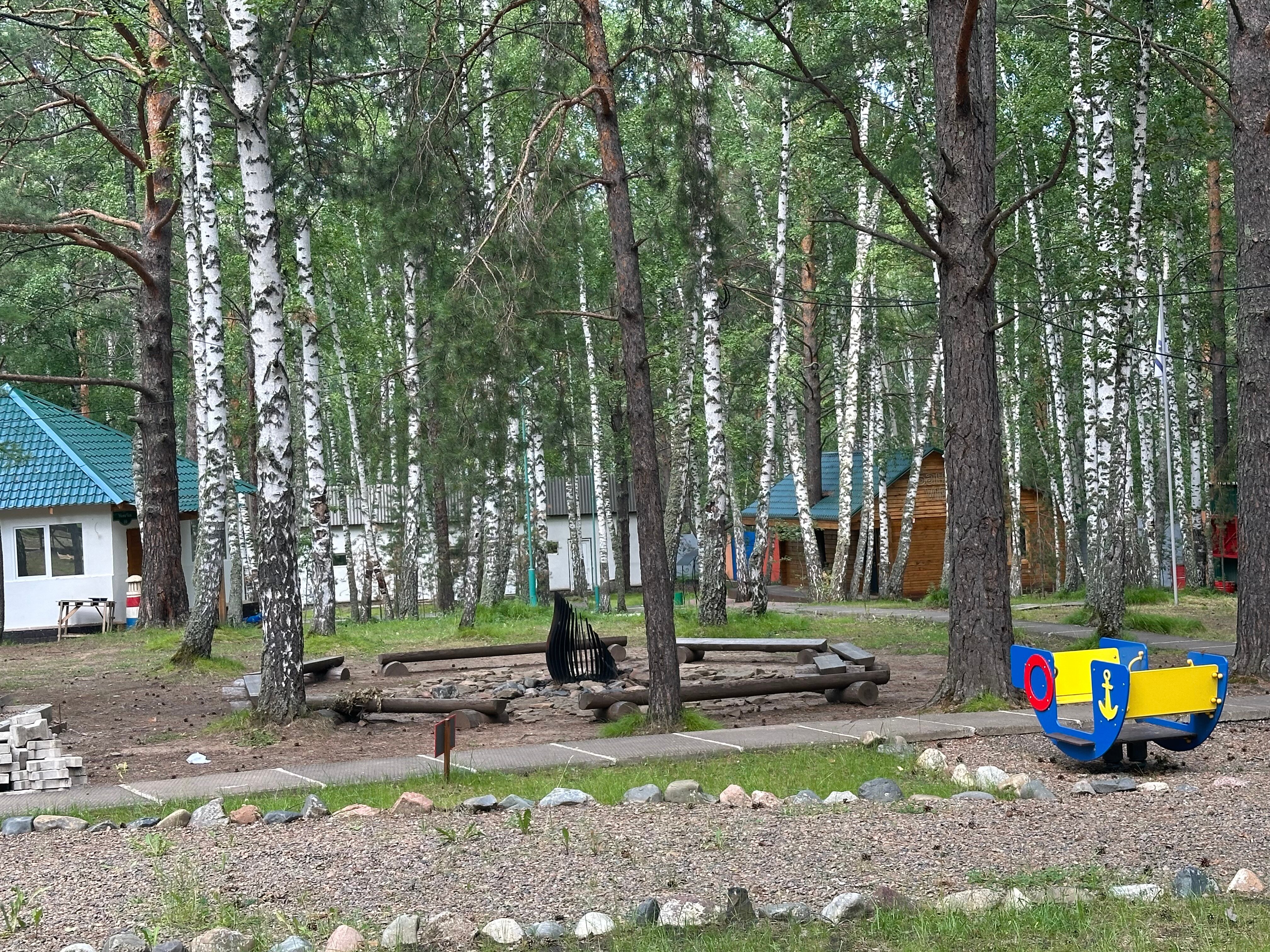 Фото Белая сова