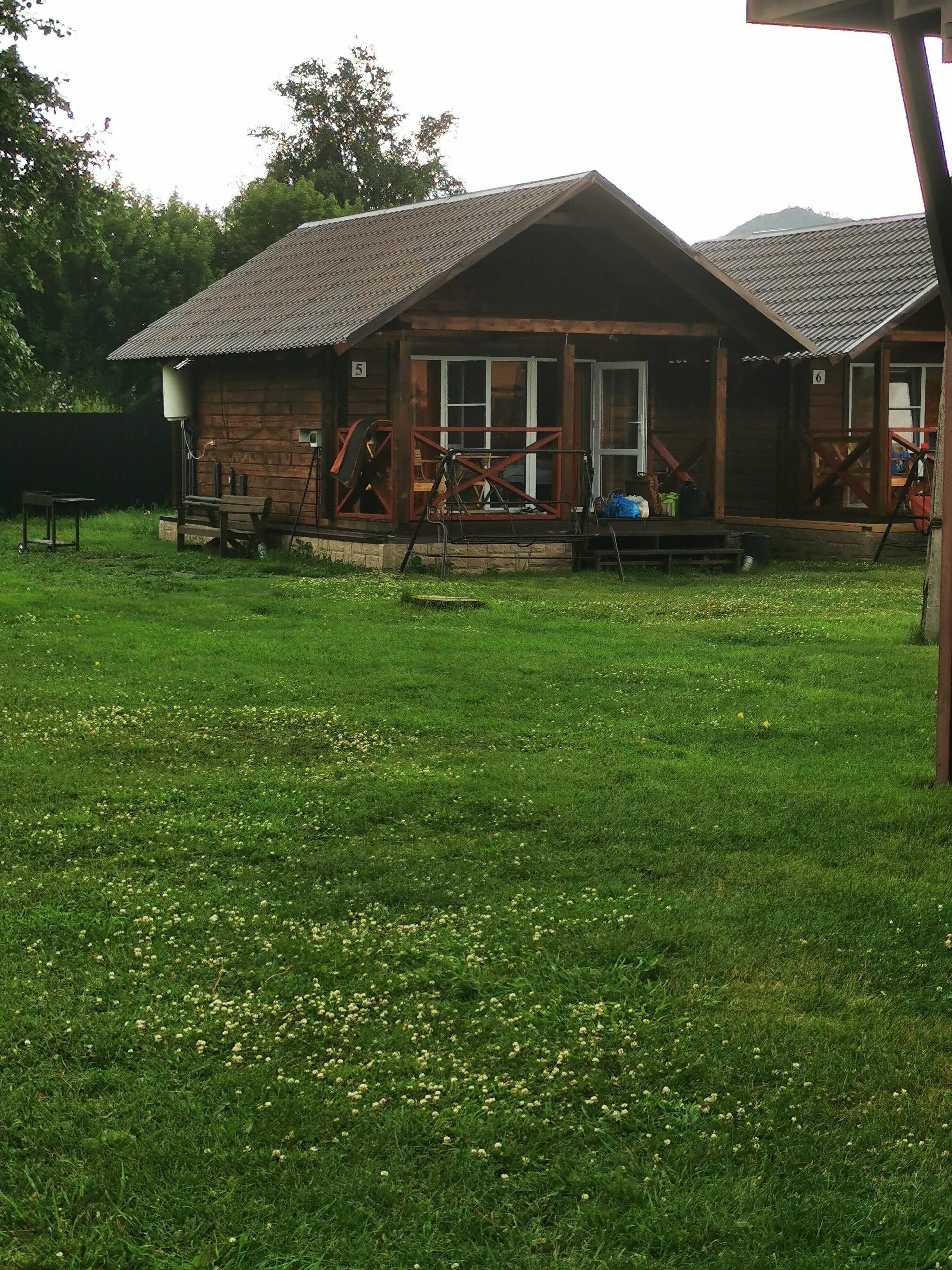 Фото Золотой медведь