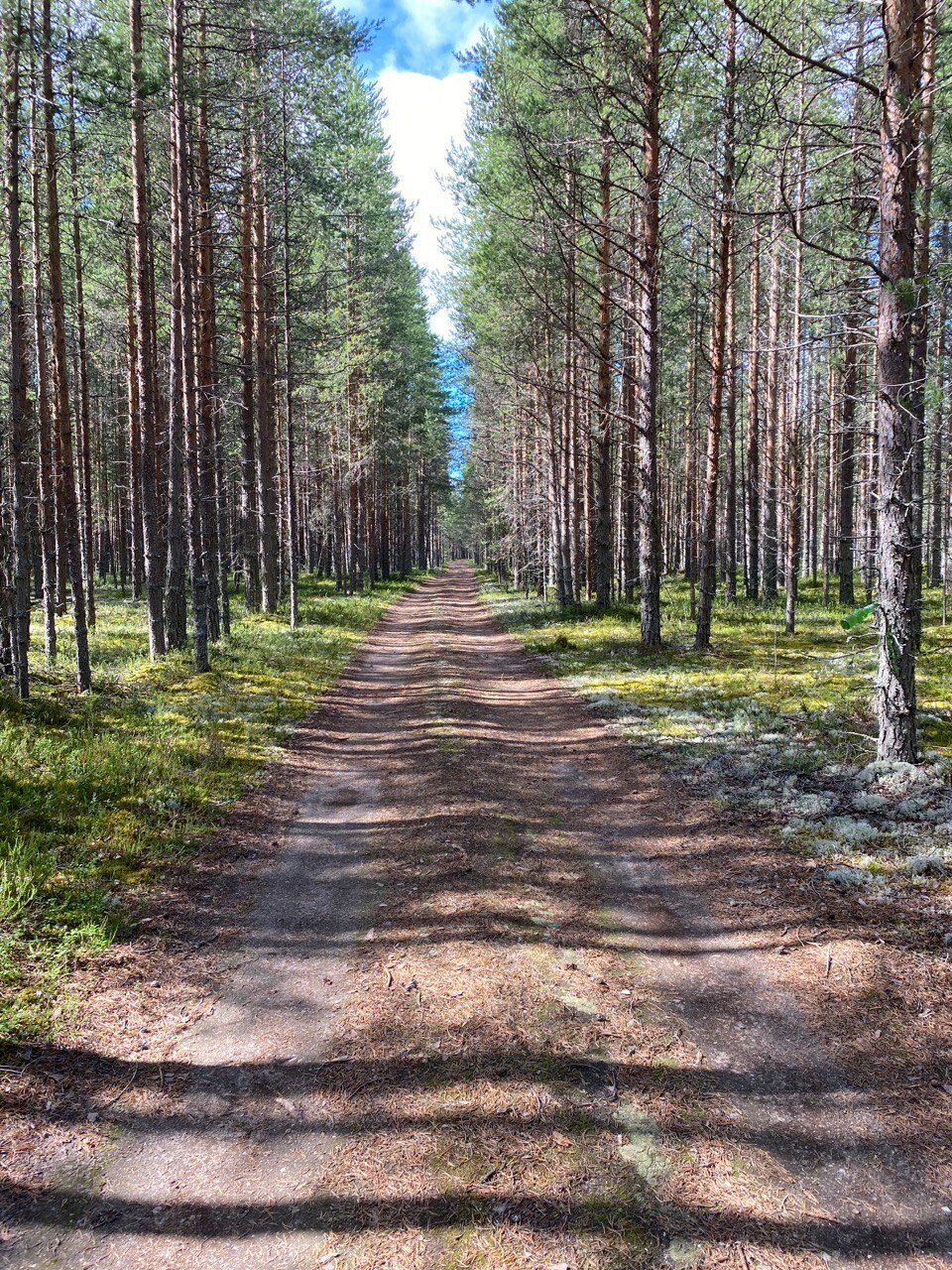 Фото Этнопарк Лопский берег