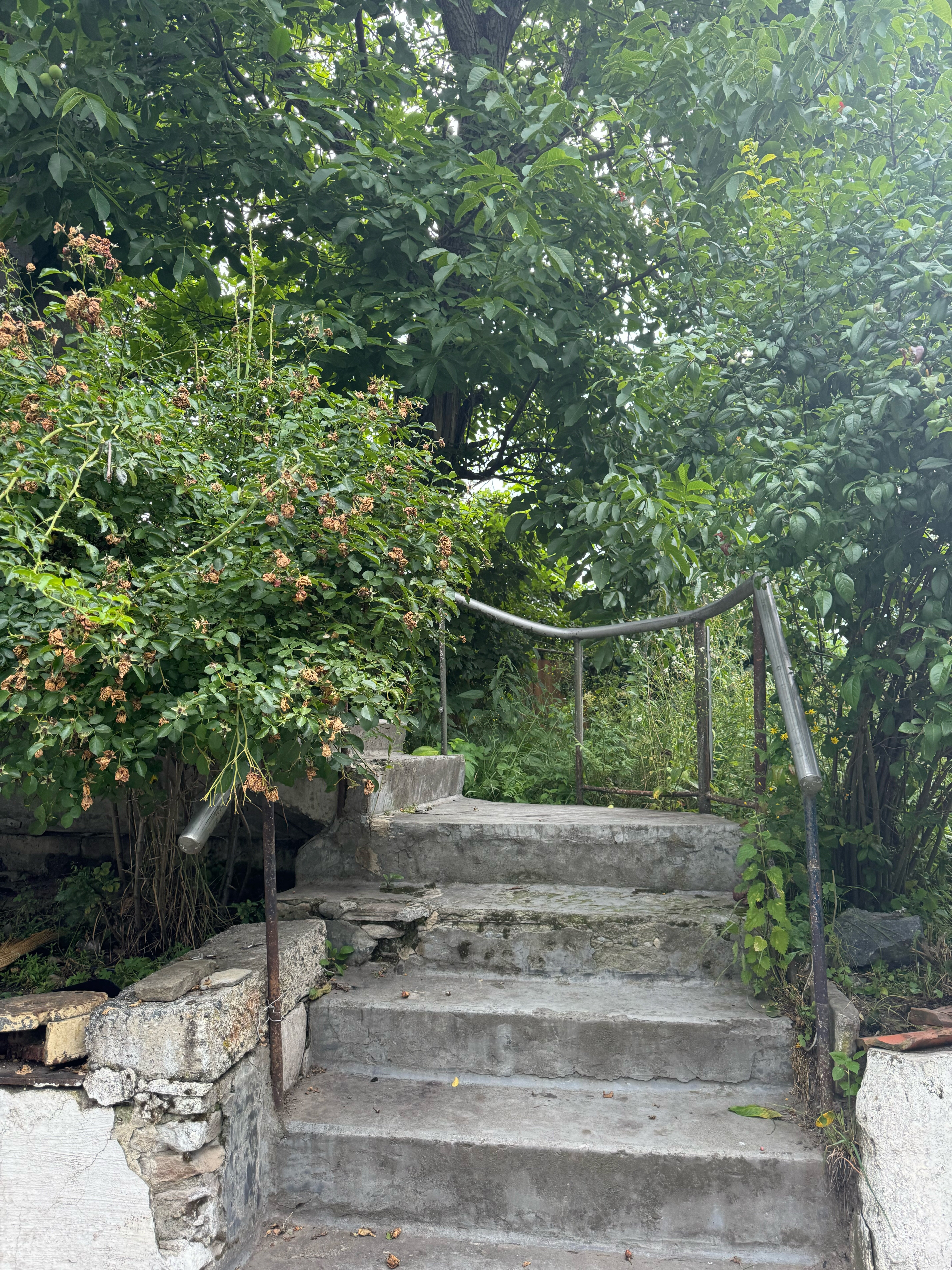 Фото Дом у реки