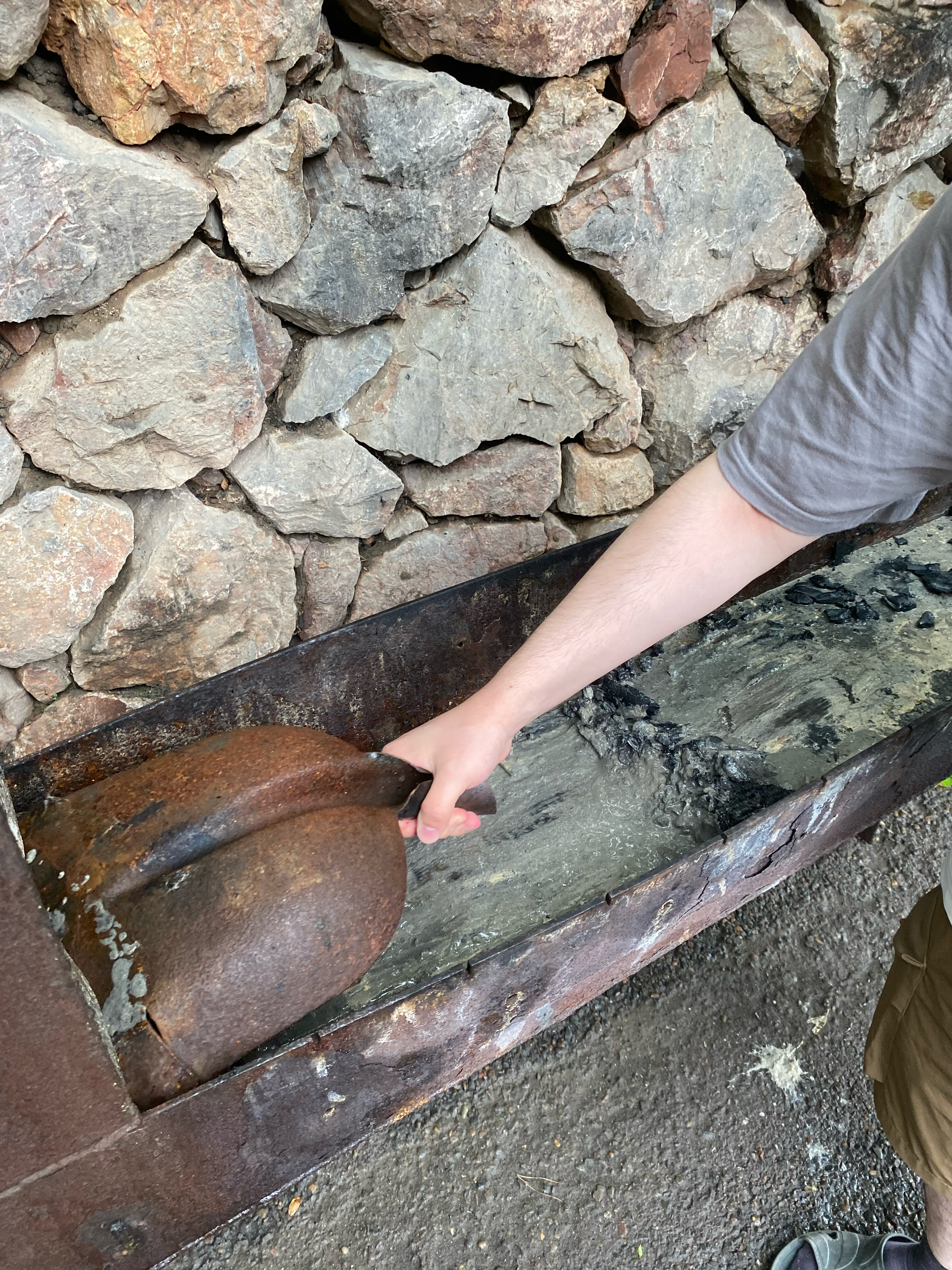 Фото Villa Forrest