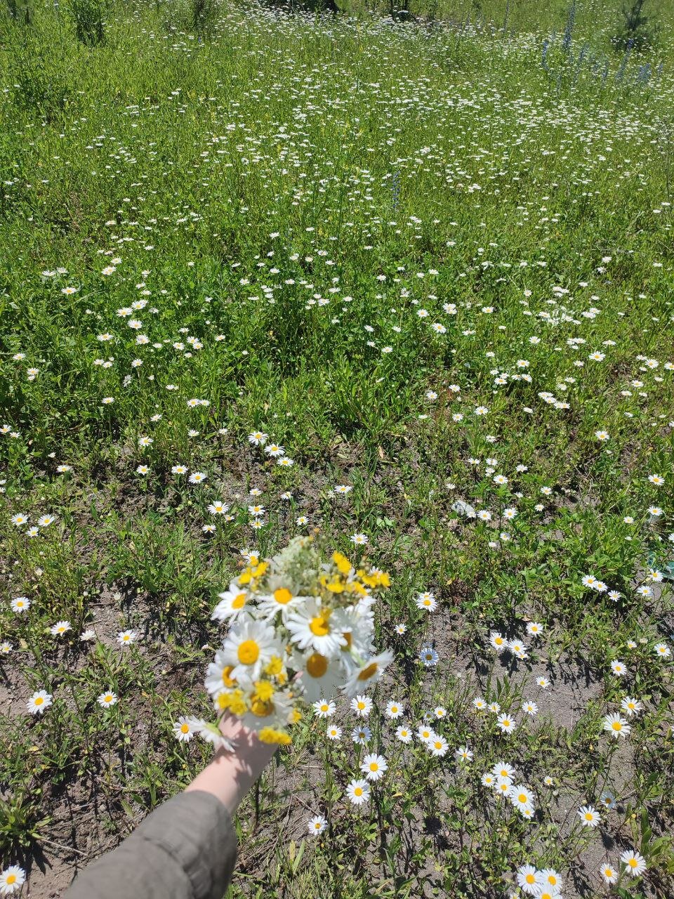 Фото Горная