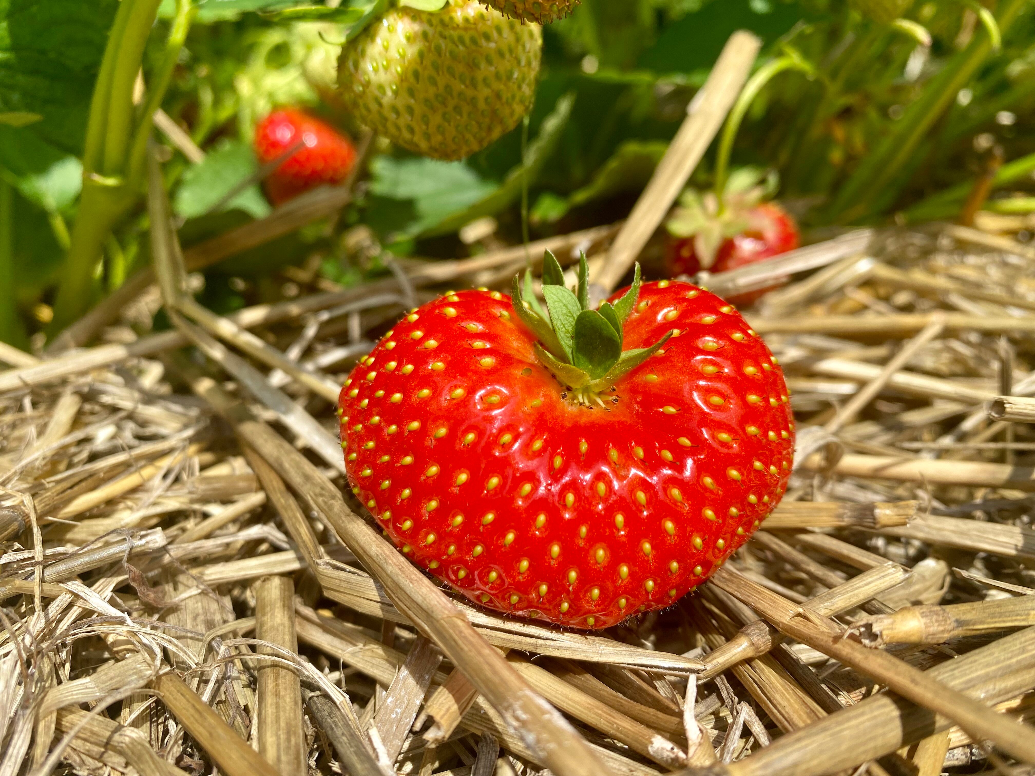 Фото Арт Хаус