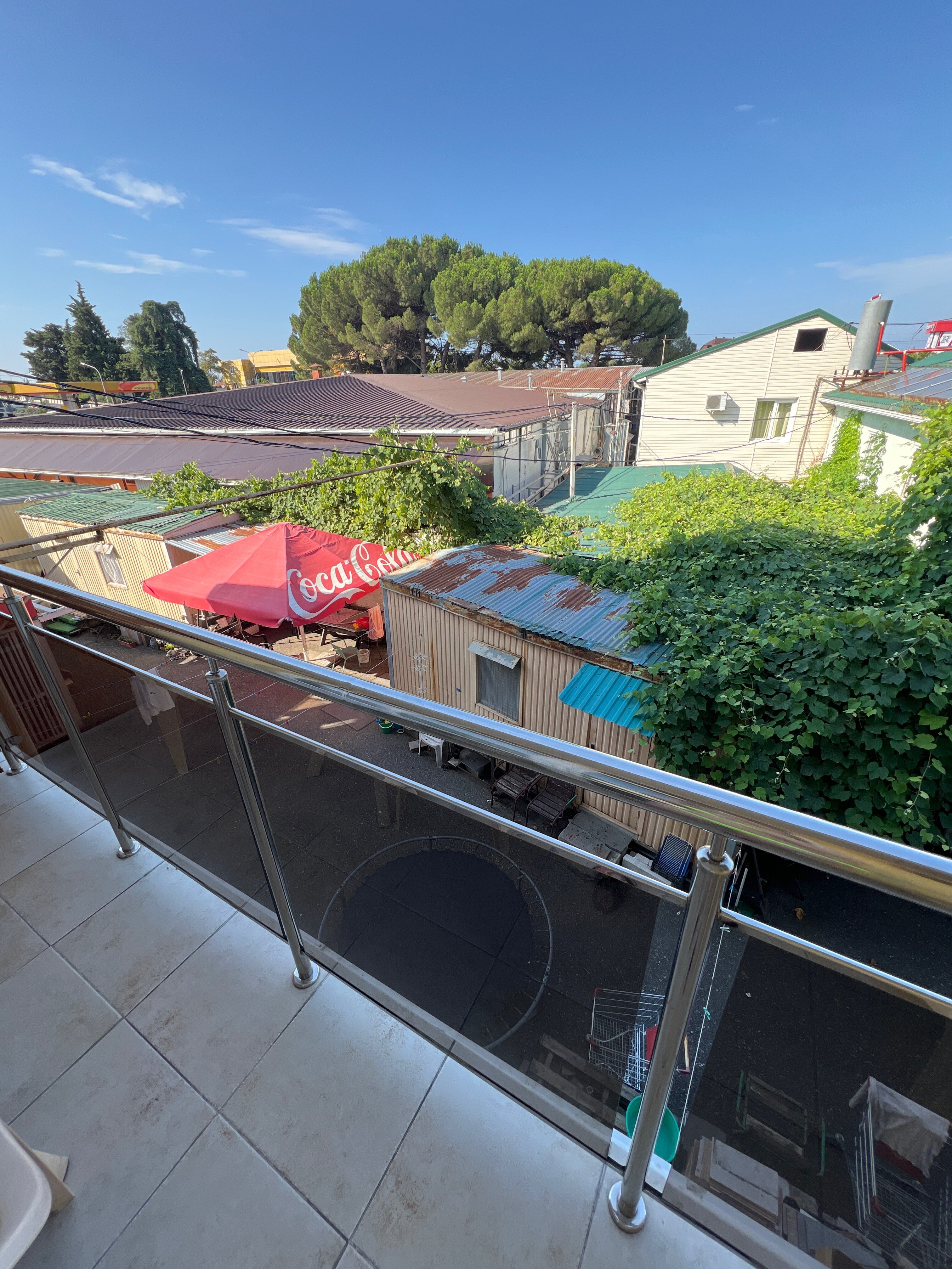 Фото Феникс