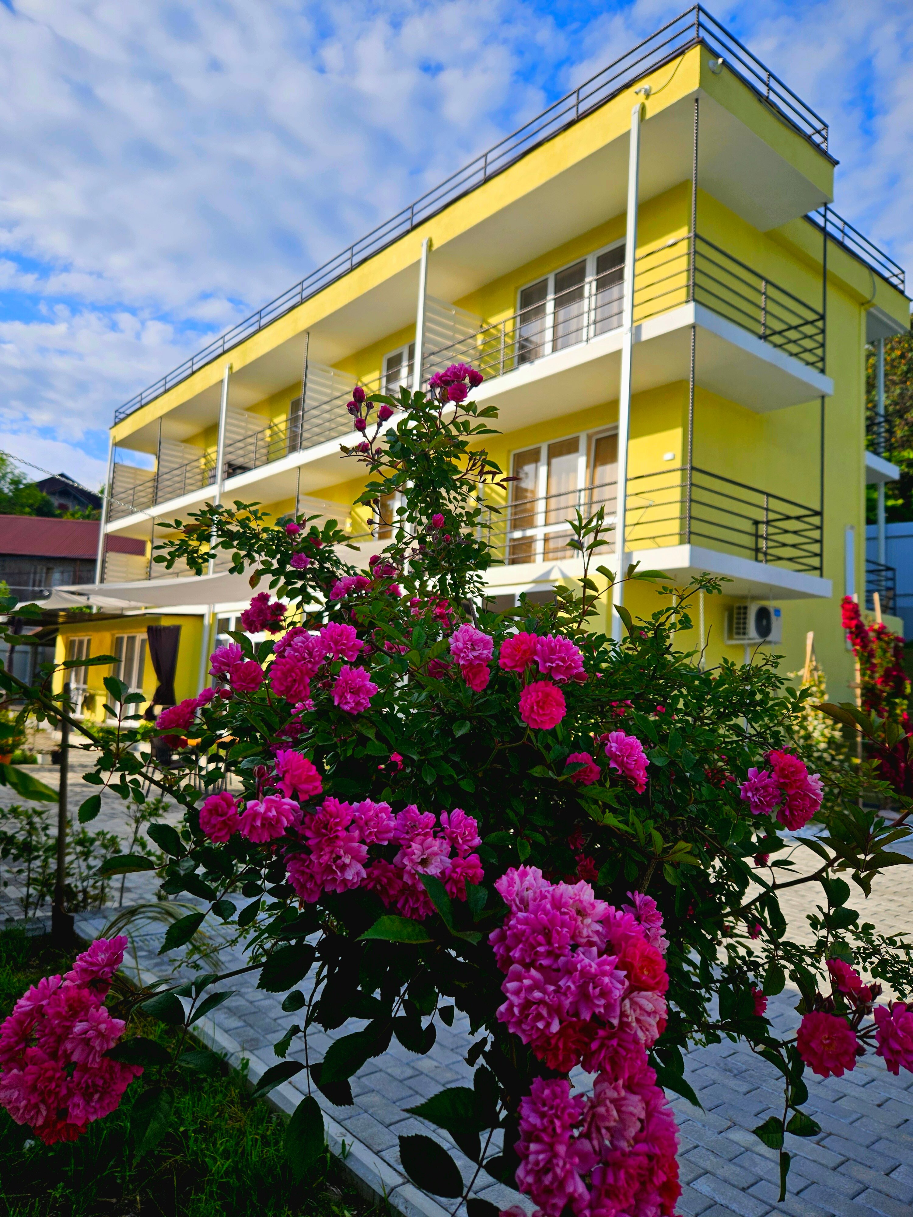 Фото Лимончелло