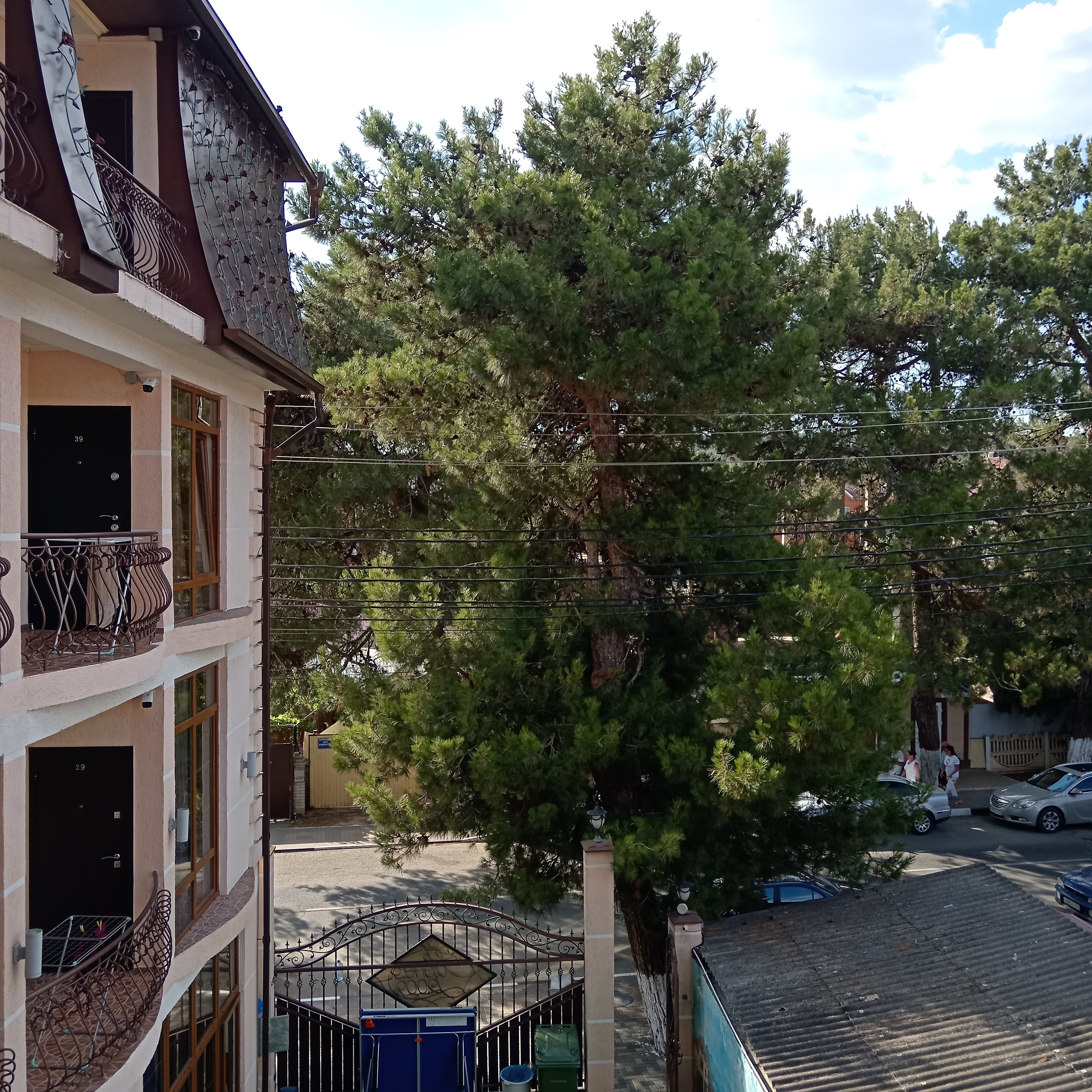 Фото Дивная