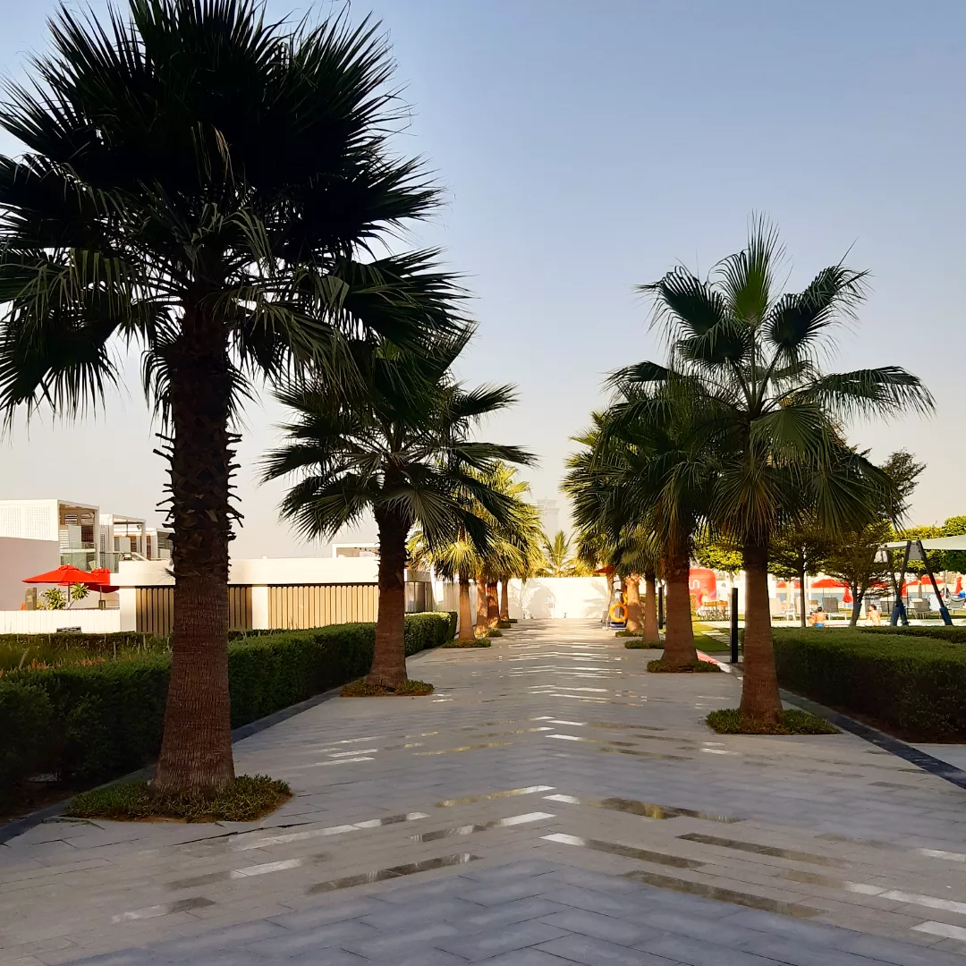 Фото Th8 Palm Dubai Beach Resort by IHG Dubai